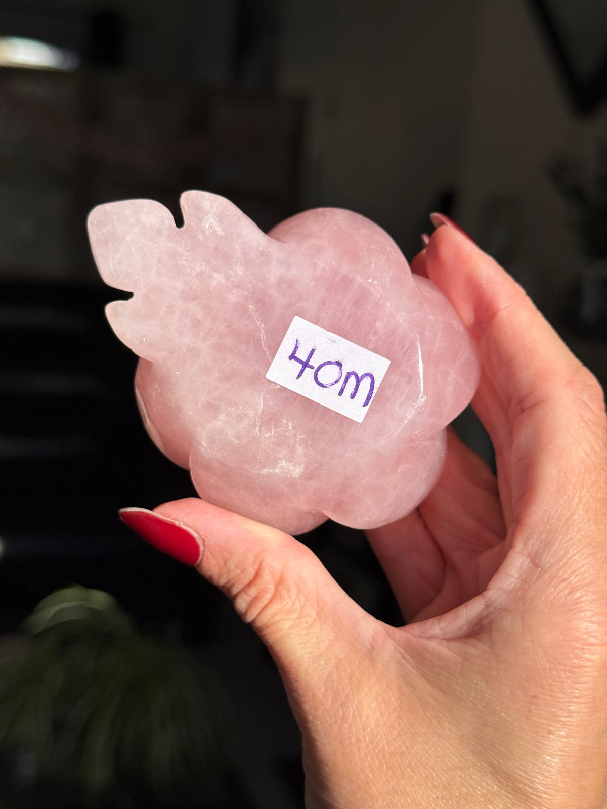Rose Quartz Rose