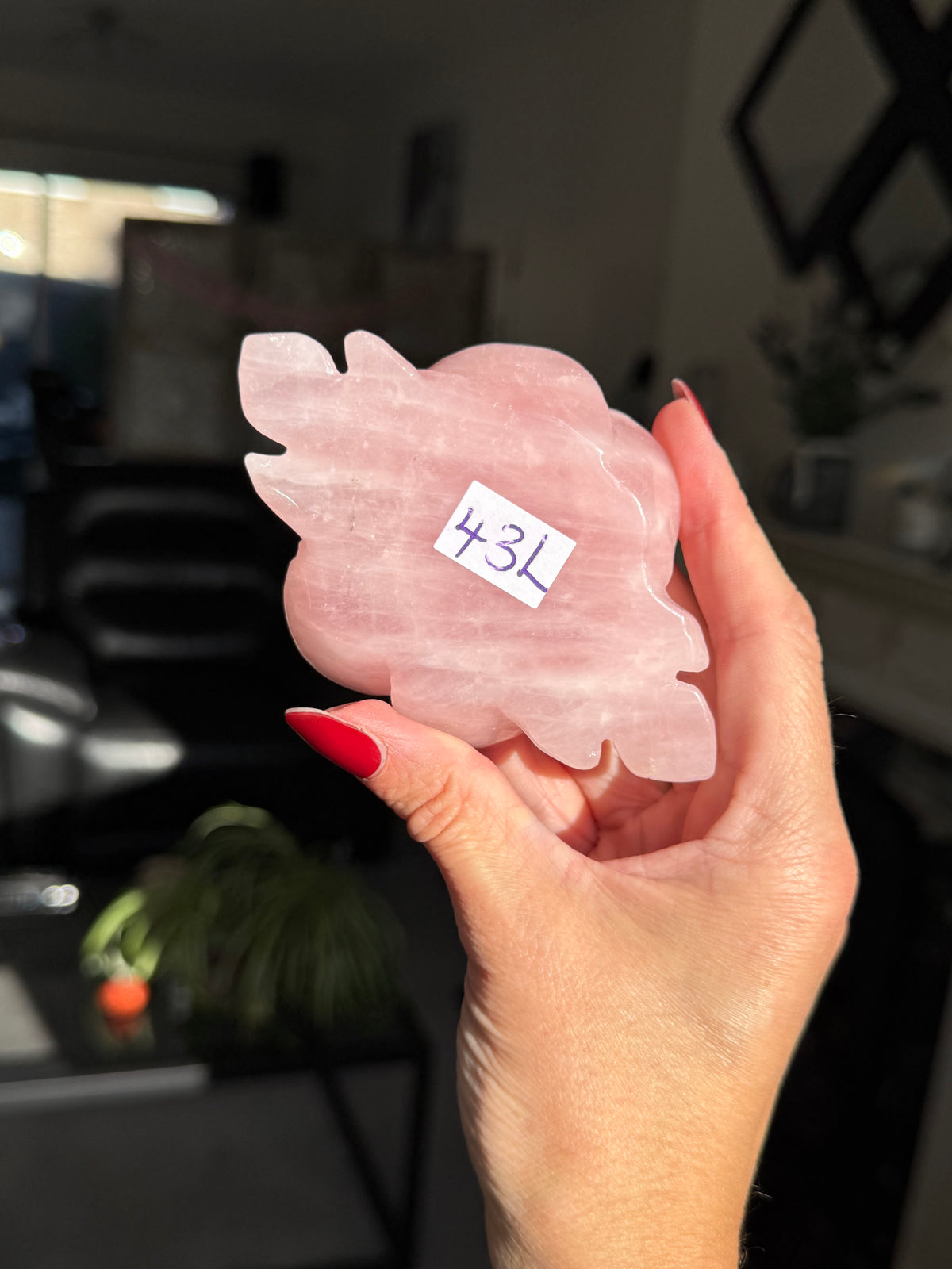 Rose Quartz Rose