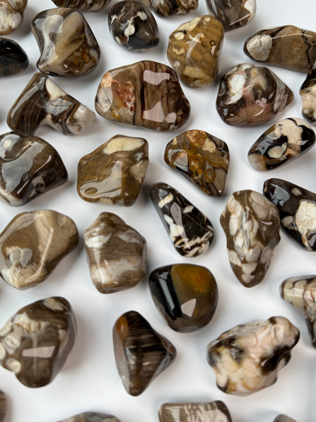 Peanut Wood Jasper Tumbles