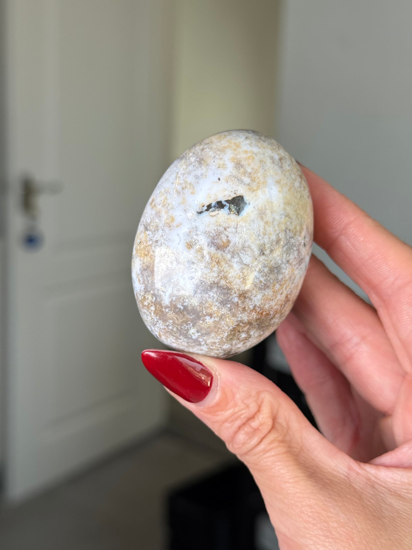 Ocean Jasper Palm Stone