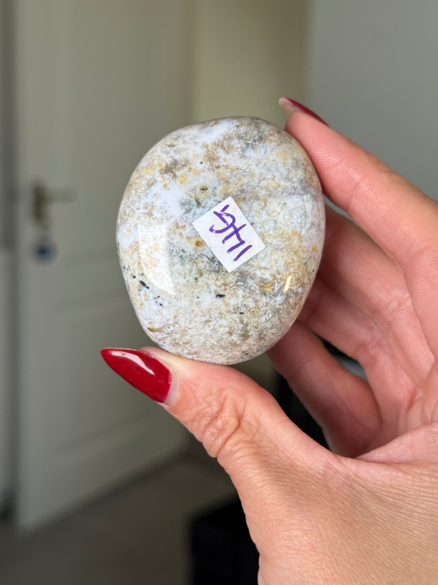 Ocean Jasper Palm Stone