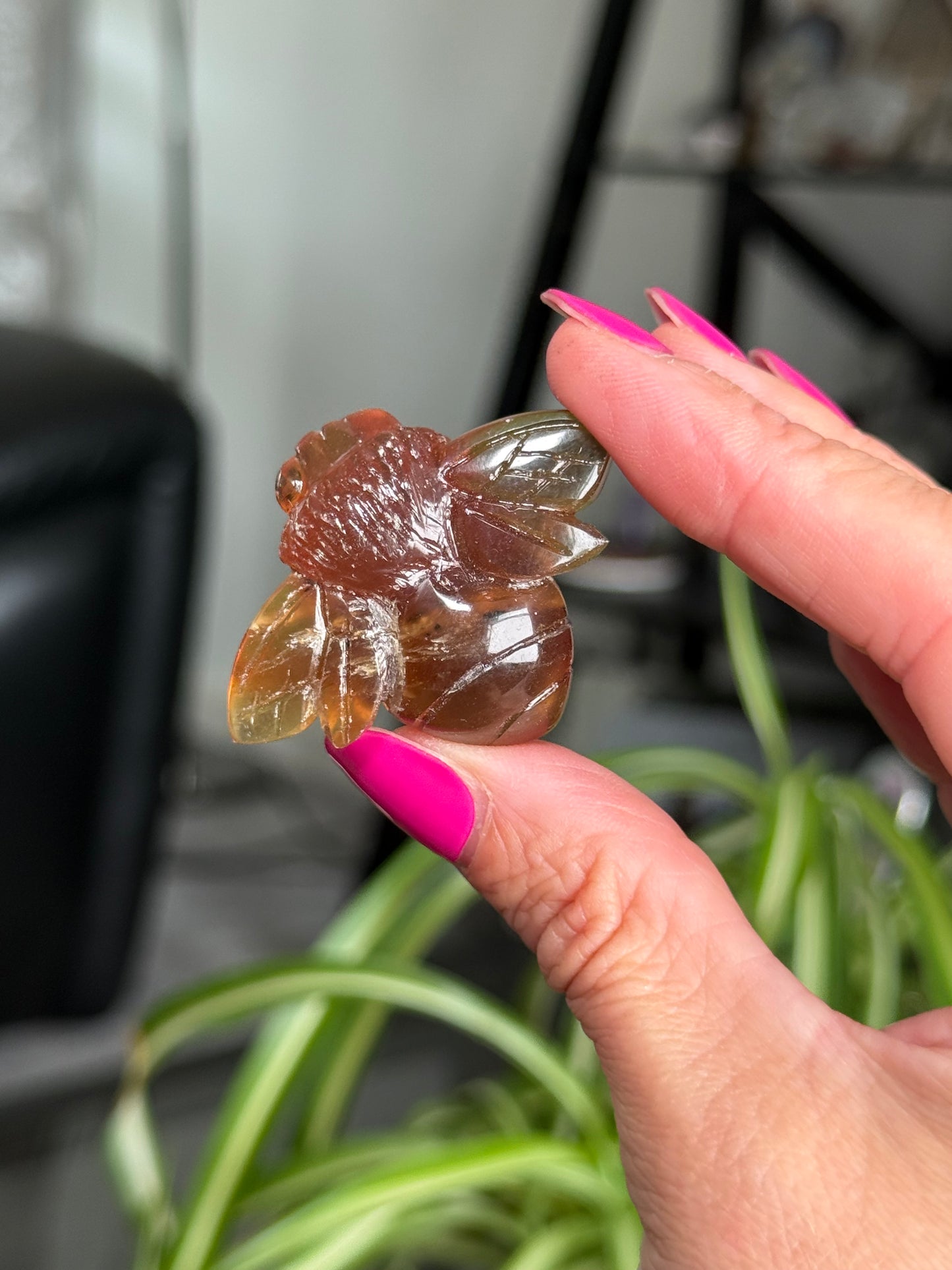 Amber Bees
