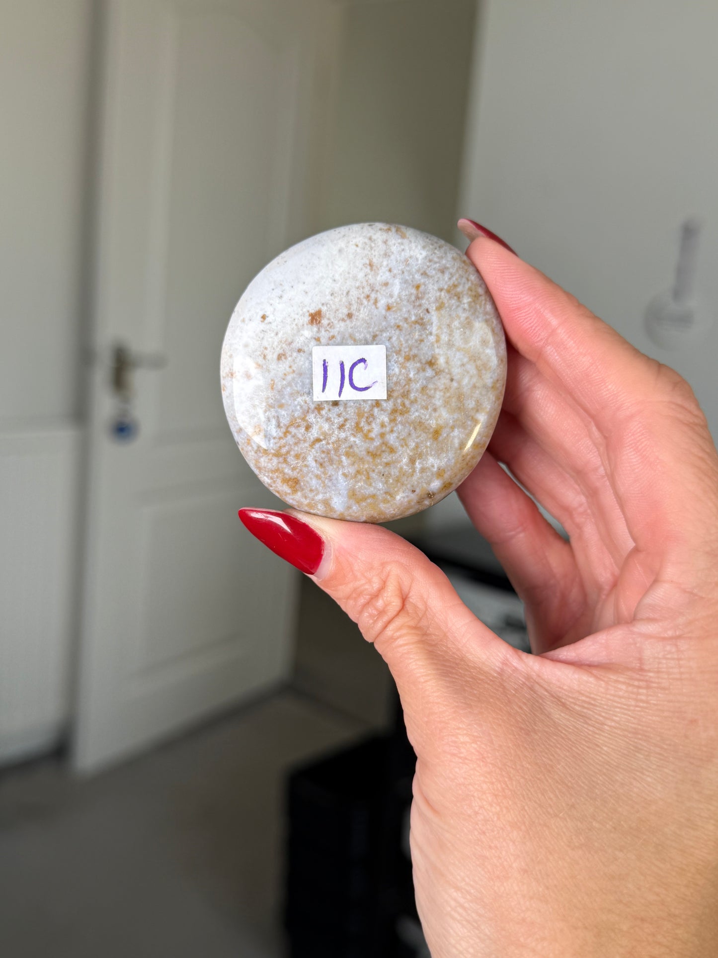 Ocean Jasper Palm Stone