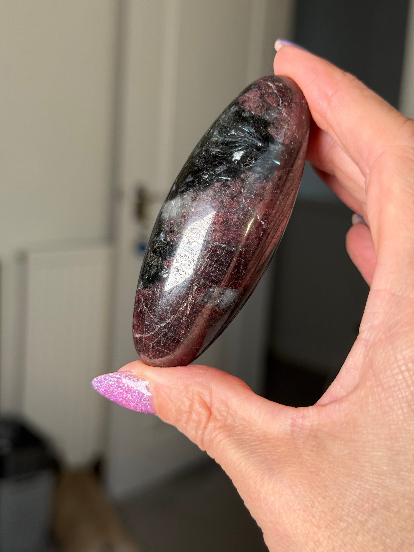 Garnet & Arfvedsonite Shiva