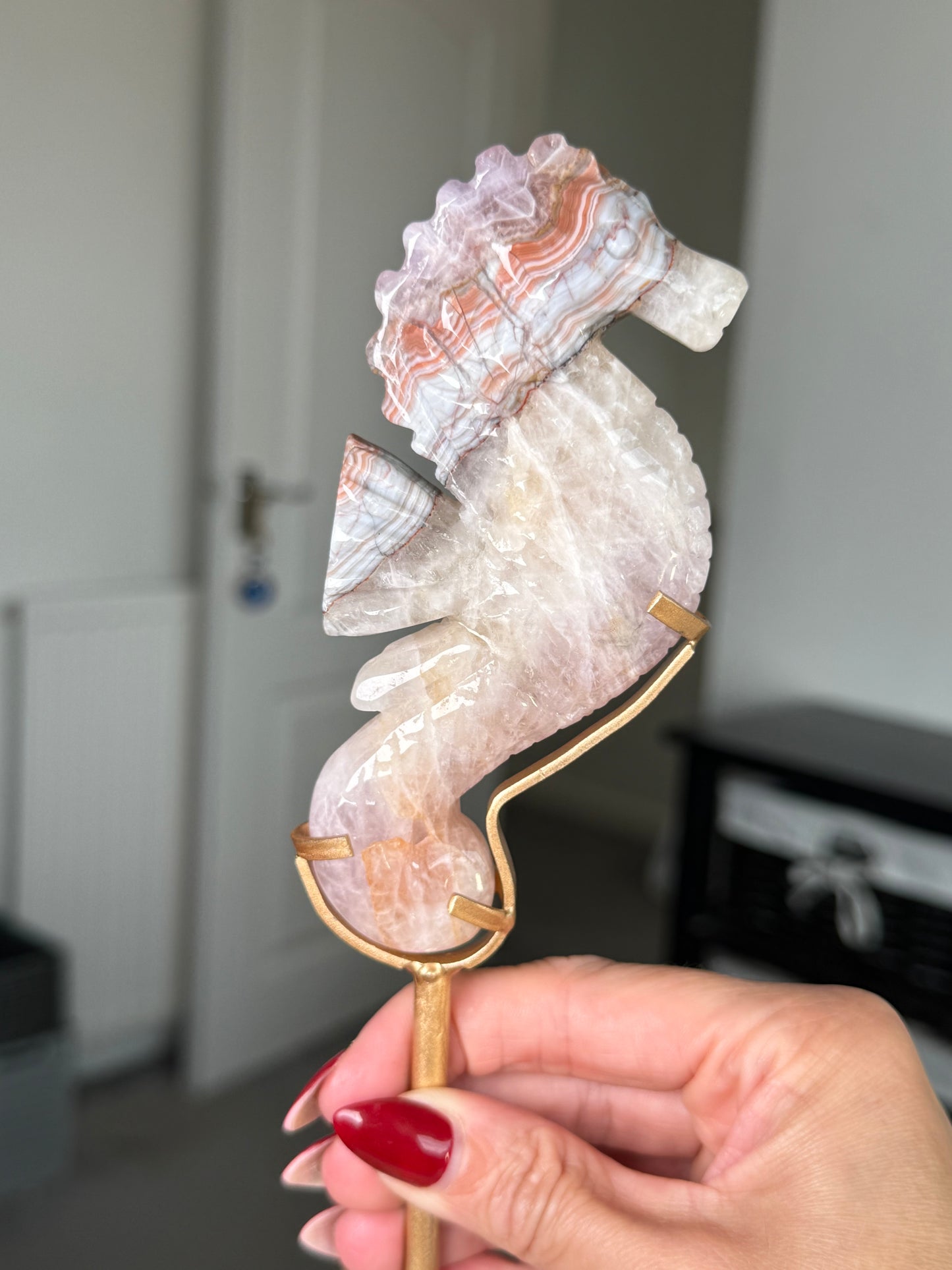 Amethyst Crazy Lace Agate Seahorse On Gold Stand