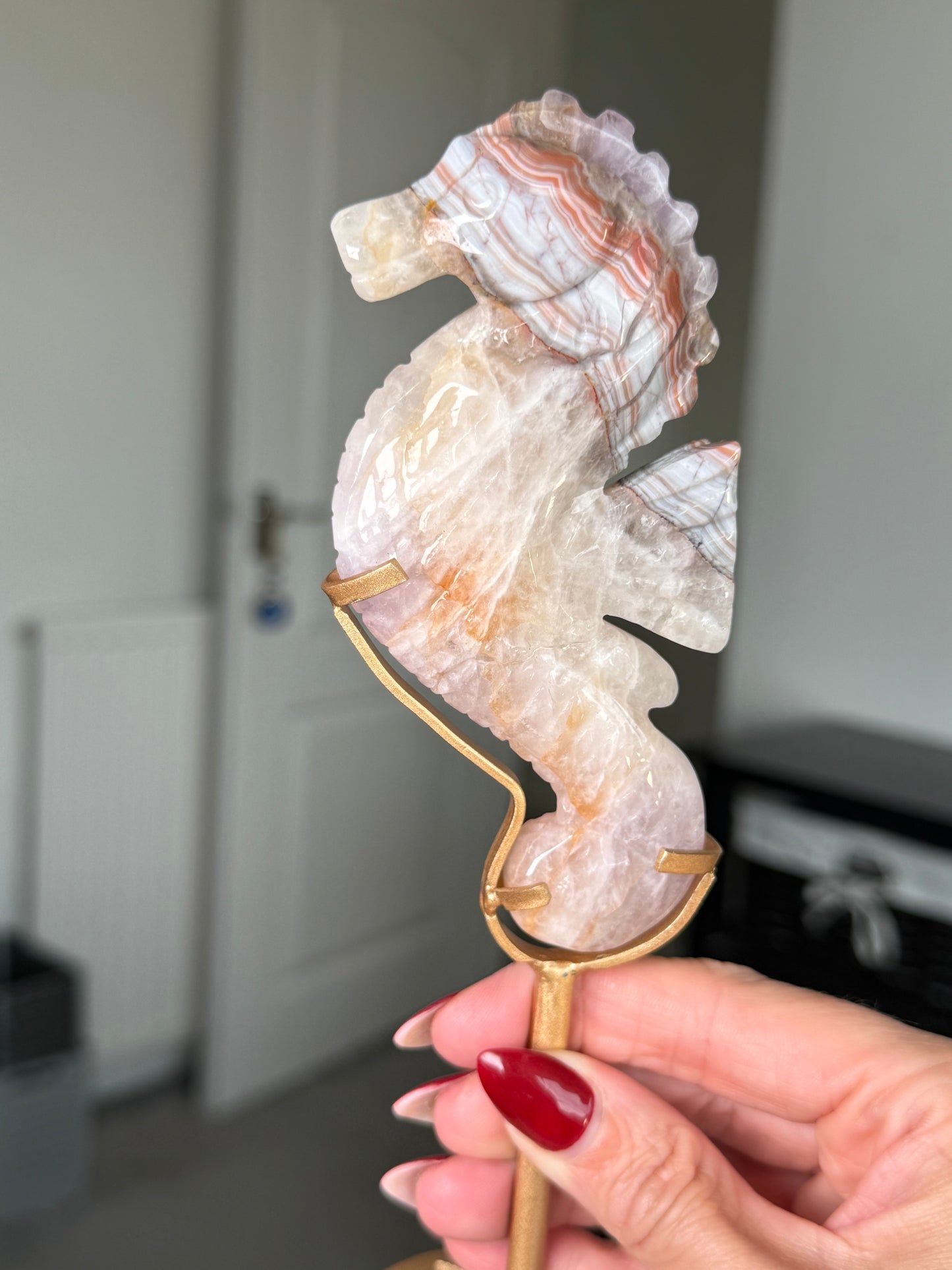 Amethyst Crazy Lace Agate Seahorse On Gold Stand