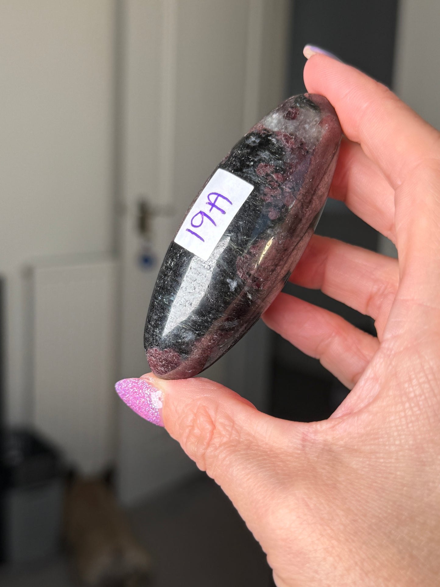 Garnet & Arfvedsonite Shiva