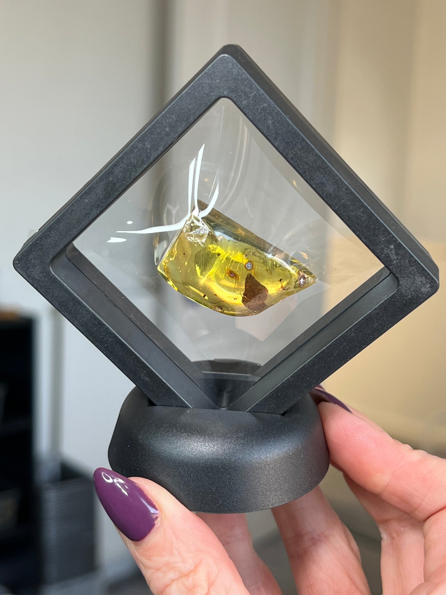 Mexican Chiapas Amber With Display Stand