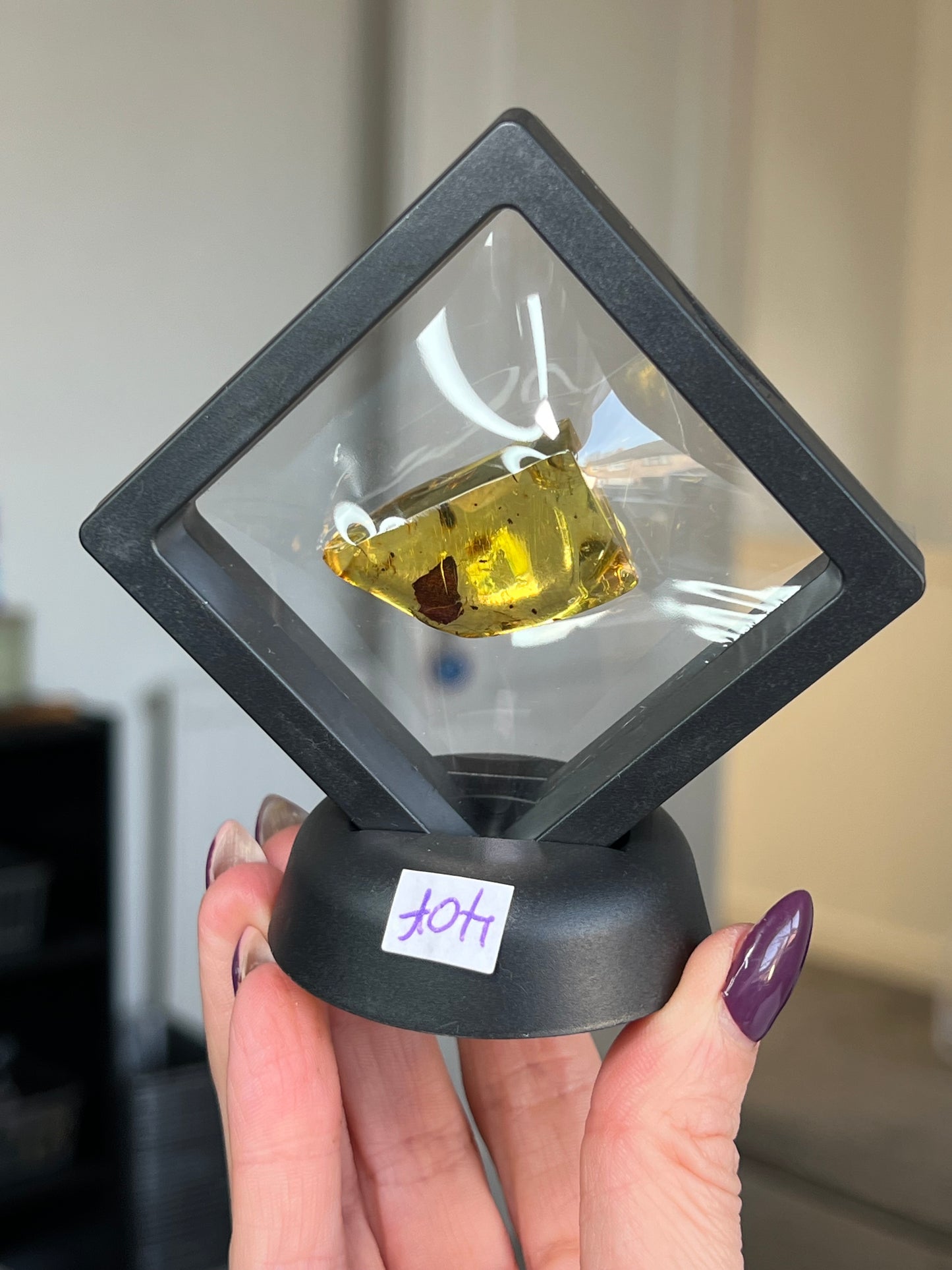 Mexican Chiapas Amber With Display Stand