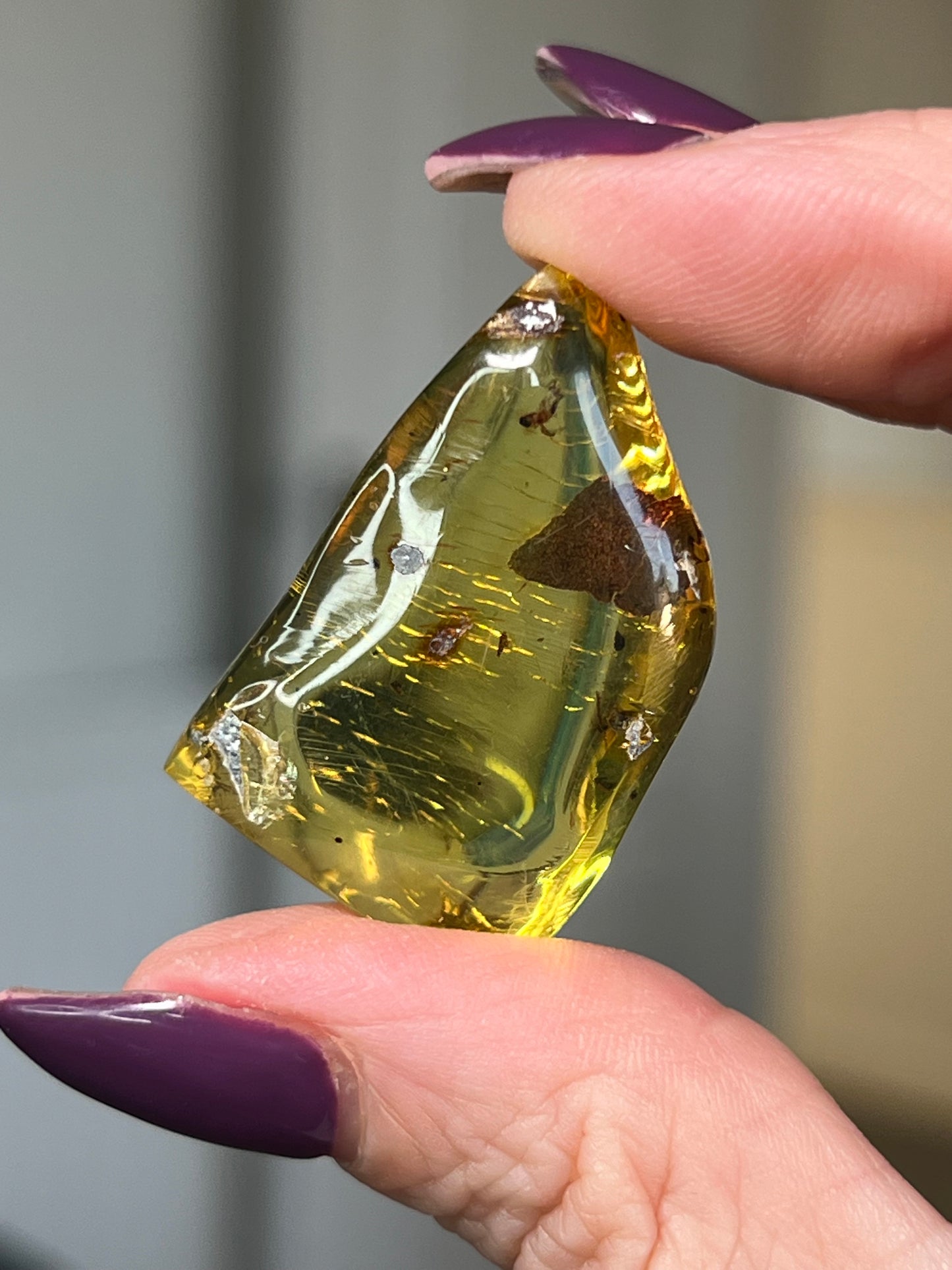 Mexican Chiapas Amber With Display Stand