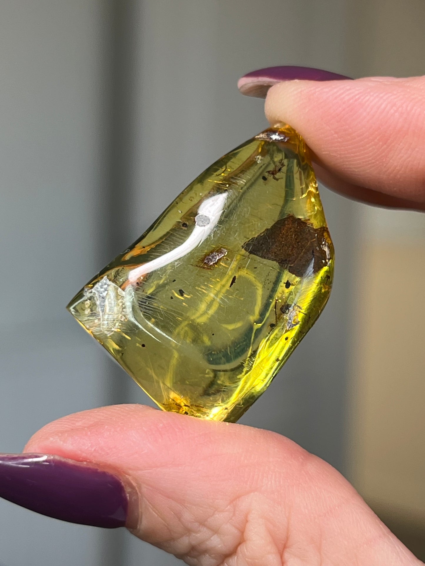 Mexican Chiapas Amber With Display Stand