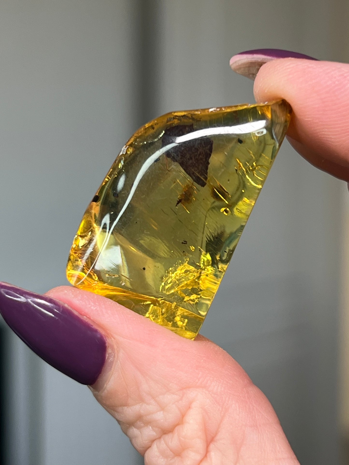 Mexican Chiapas Amber With Display Stand