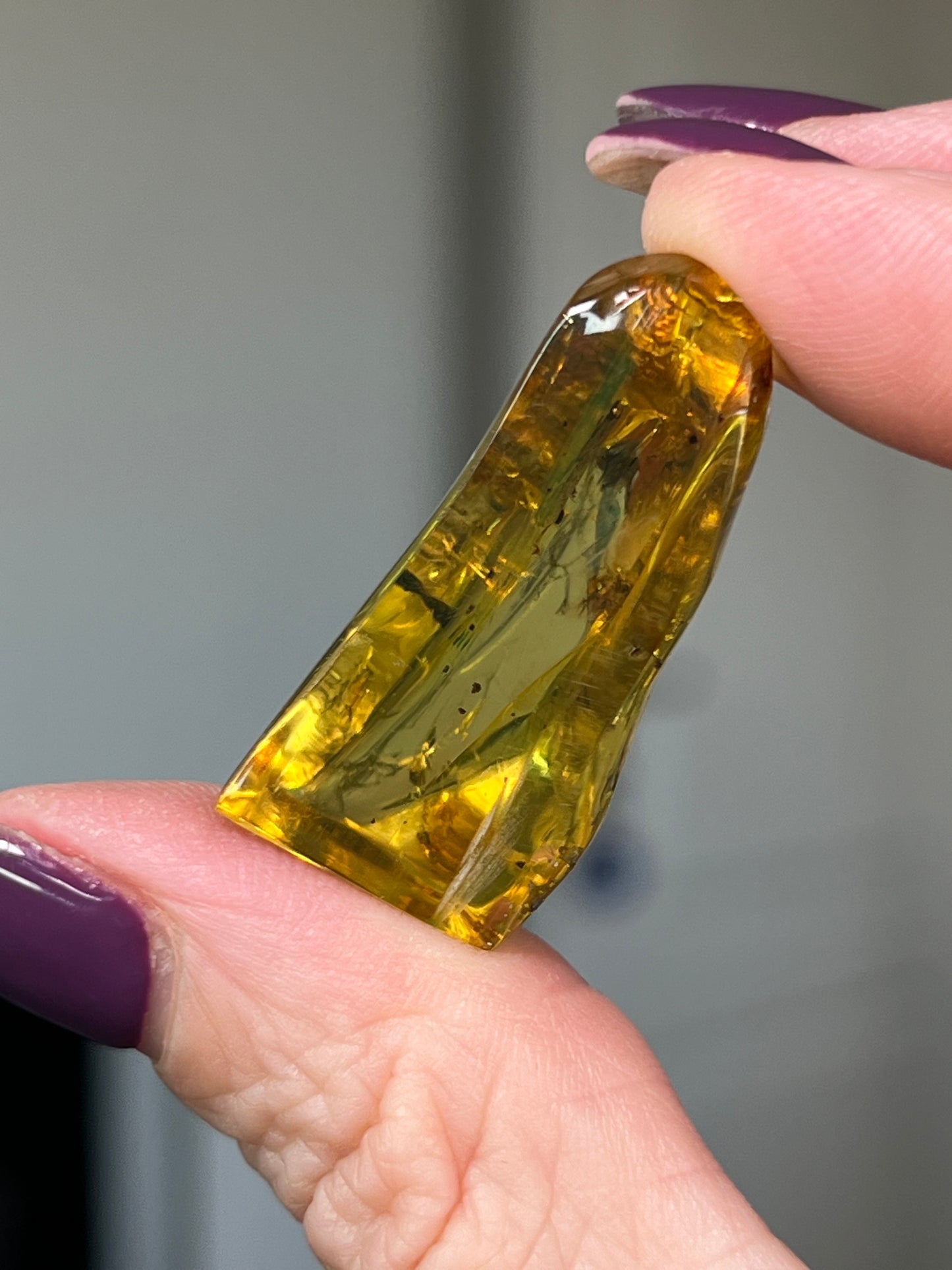 Mexican Chiapas Amber With Display Stand