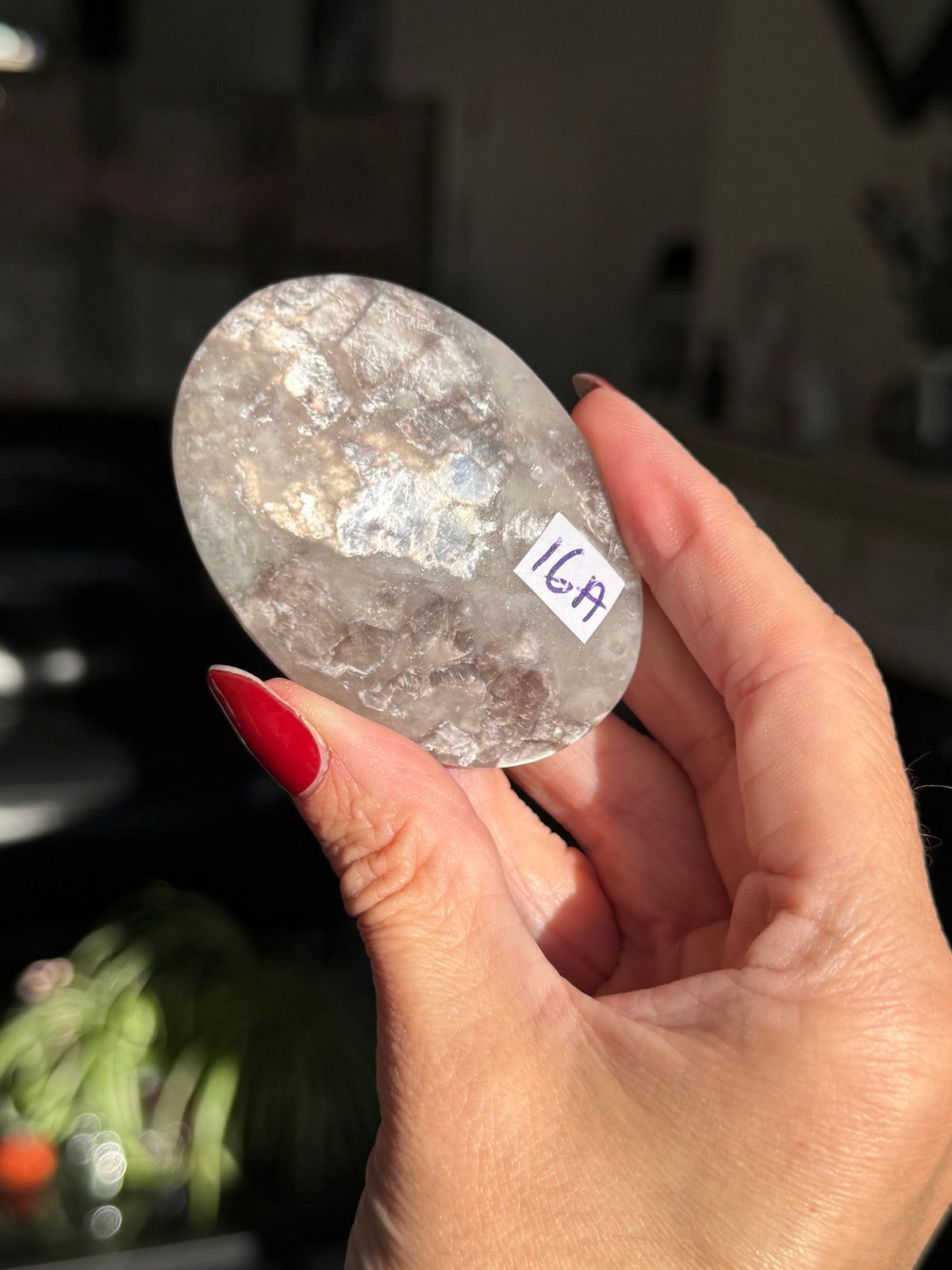 Gem Lepidolite Palm
