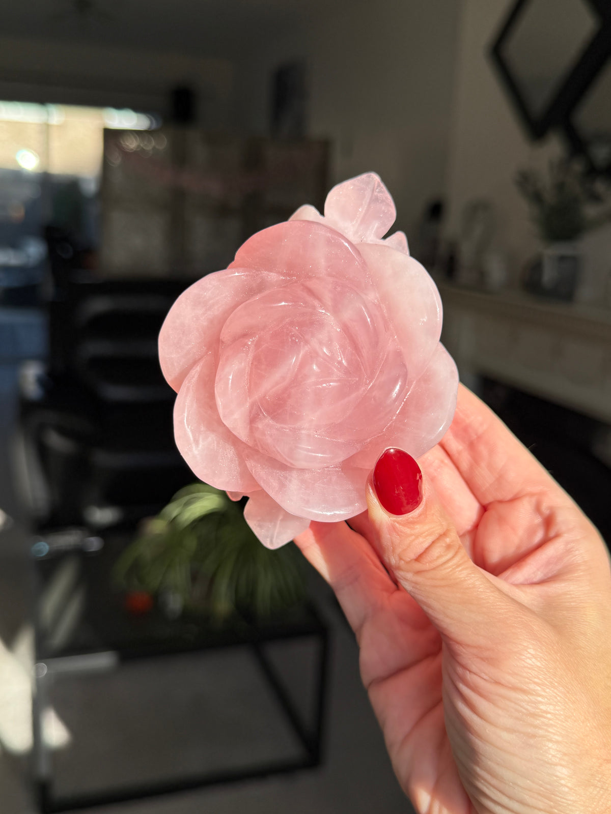 Rose Quartz Rose