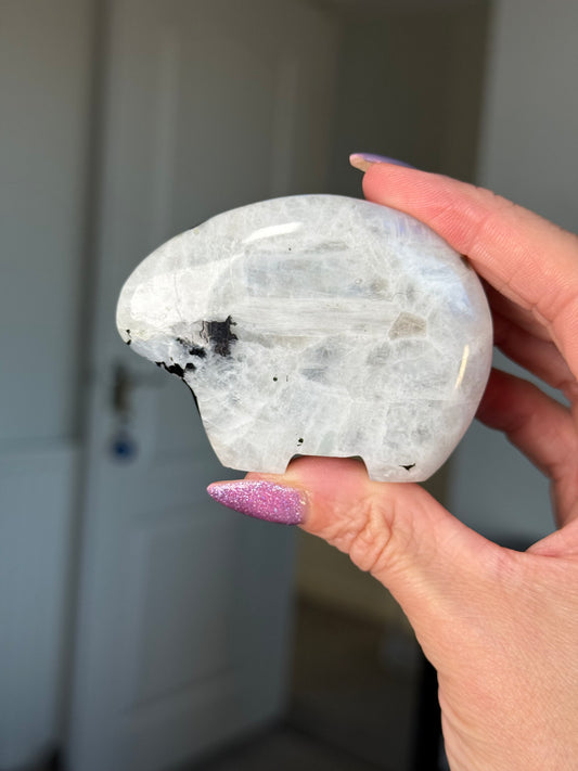 Rainbow Moonstone Zuni Bear