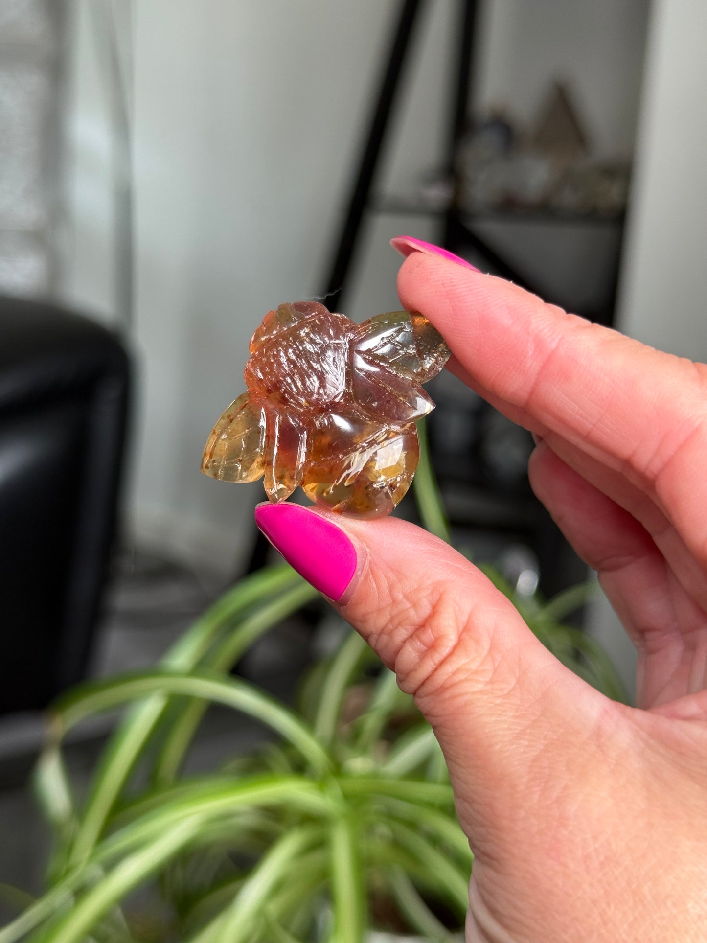 Amber Bees