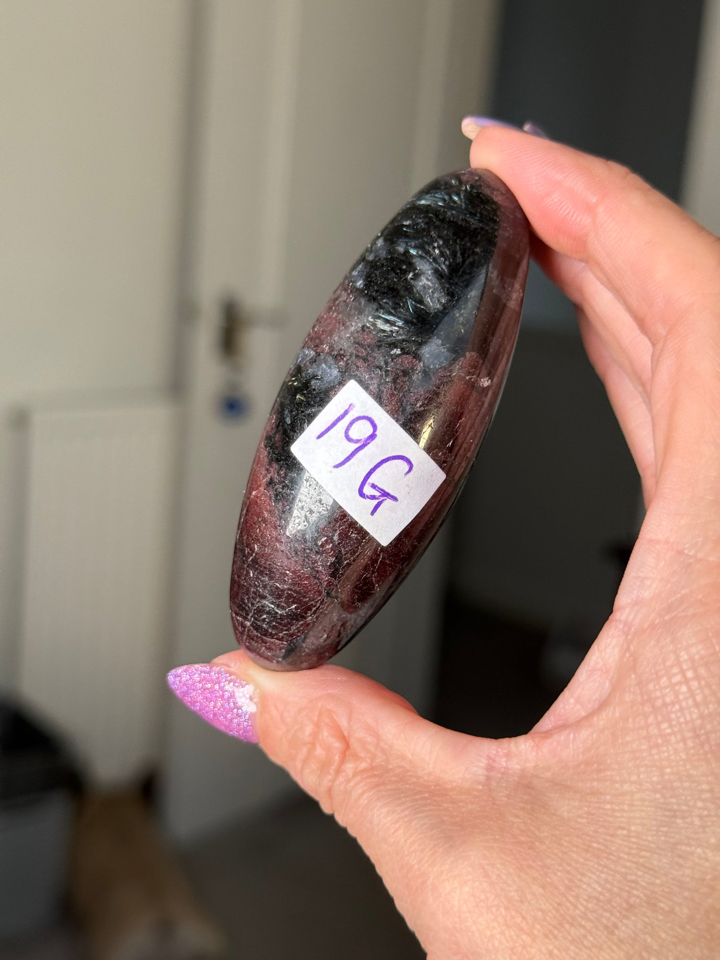 Garnet & Arfvedsonite Shiva