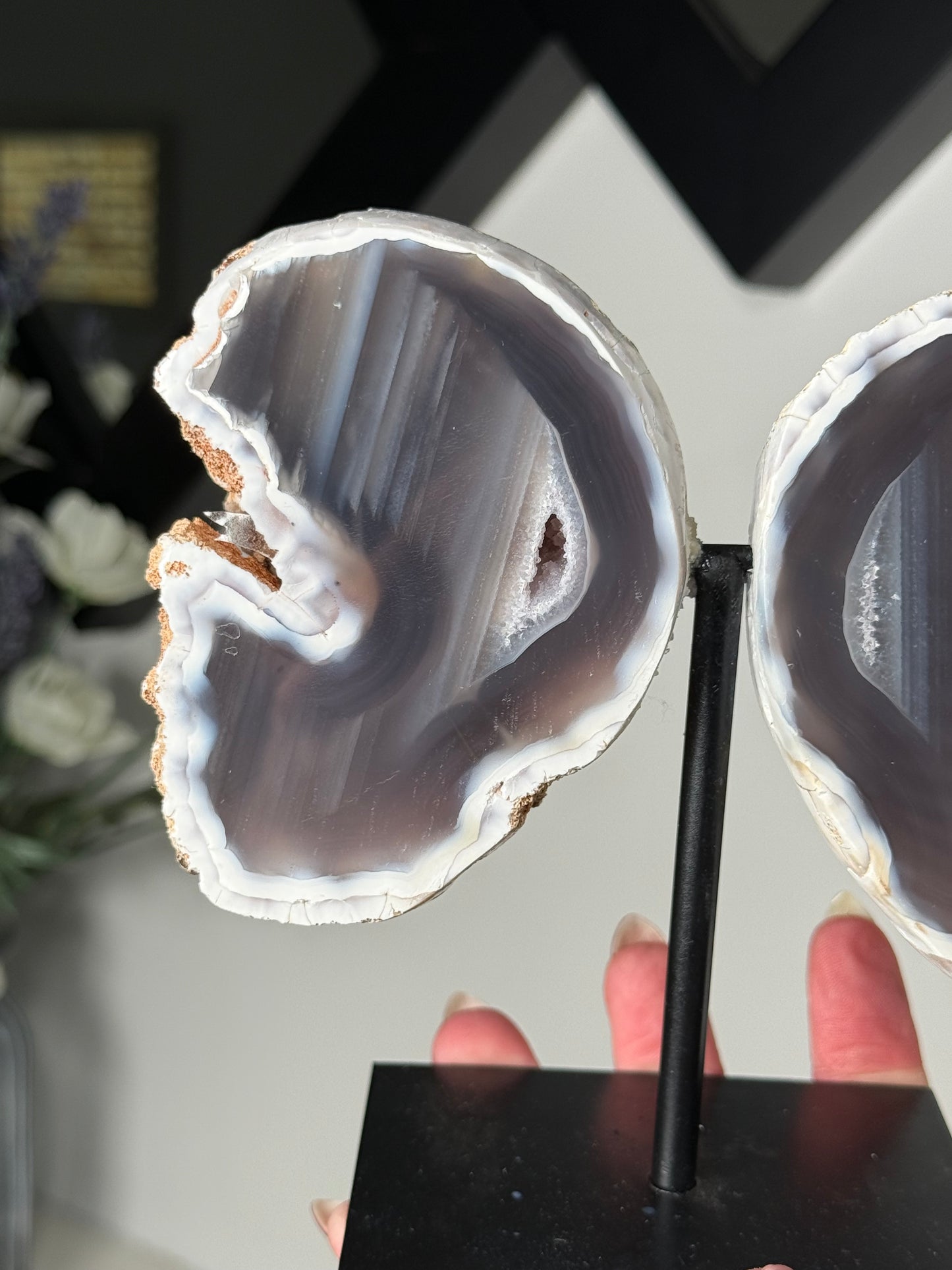 Agate Geode Wings On Black Stand