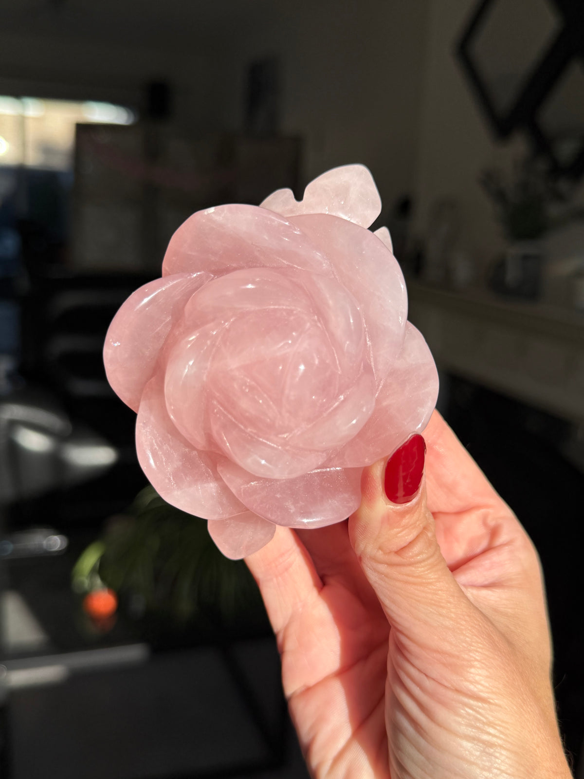Rose Quartz Rose