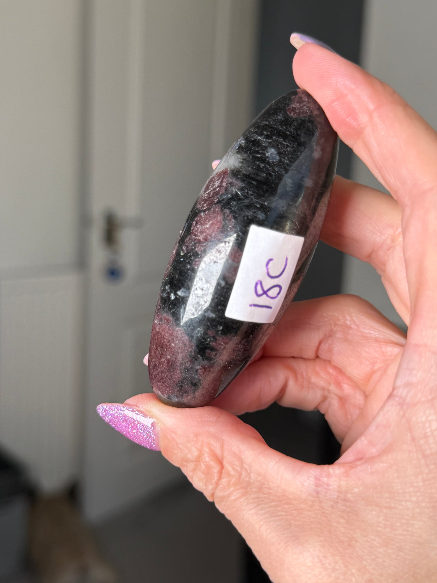 Garnet & Arfvedsonite Shiva