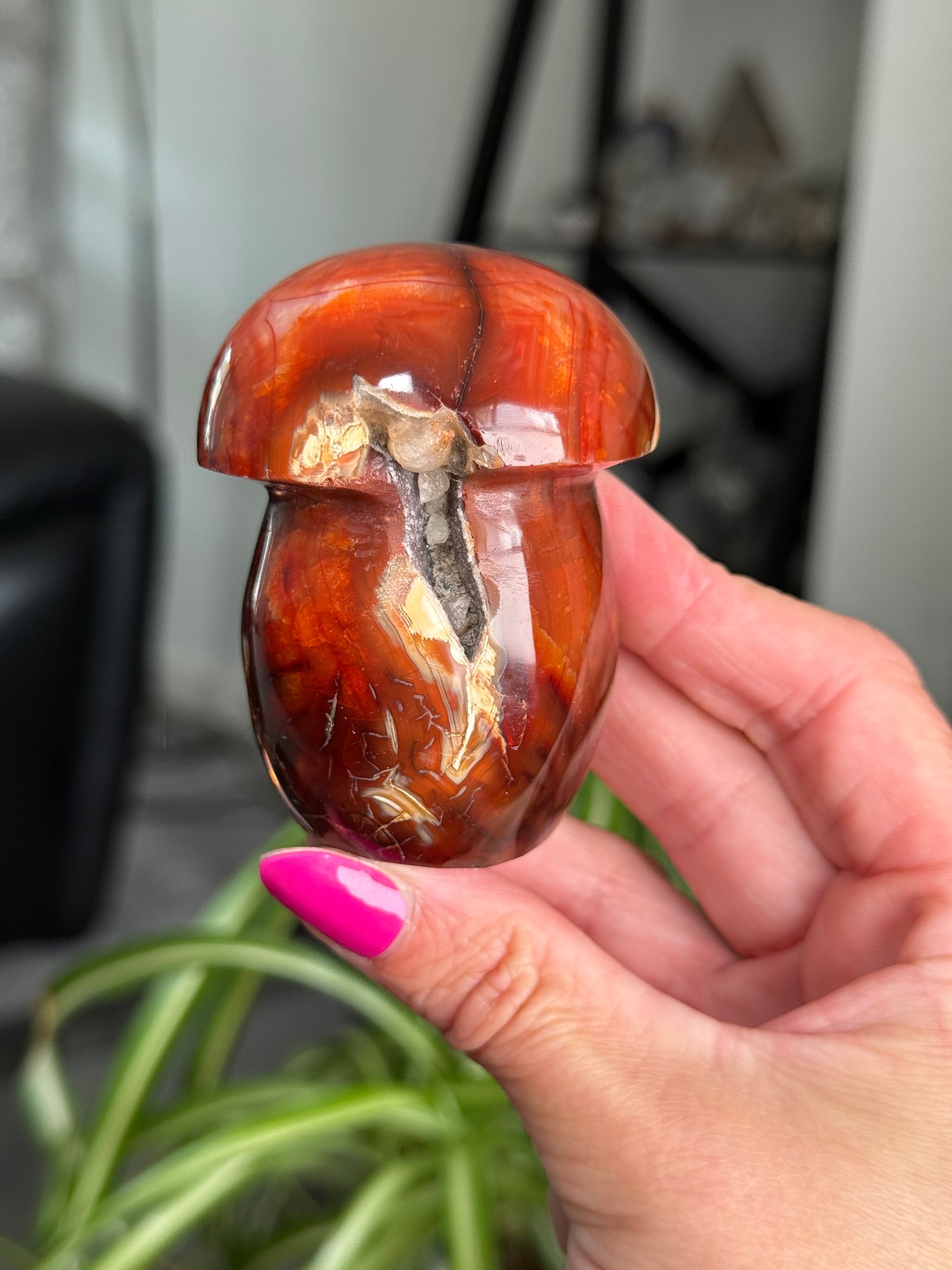 Carnelian Mushroom