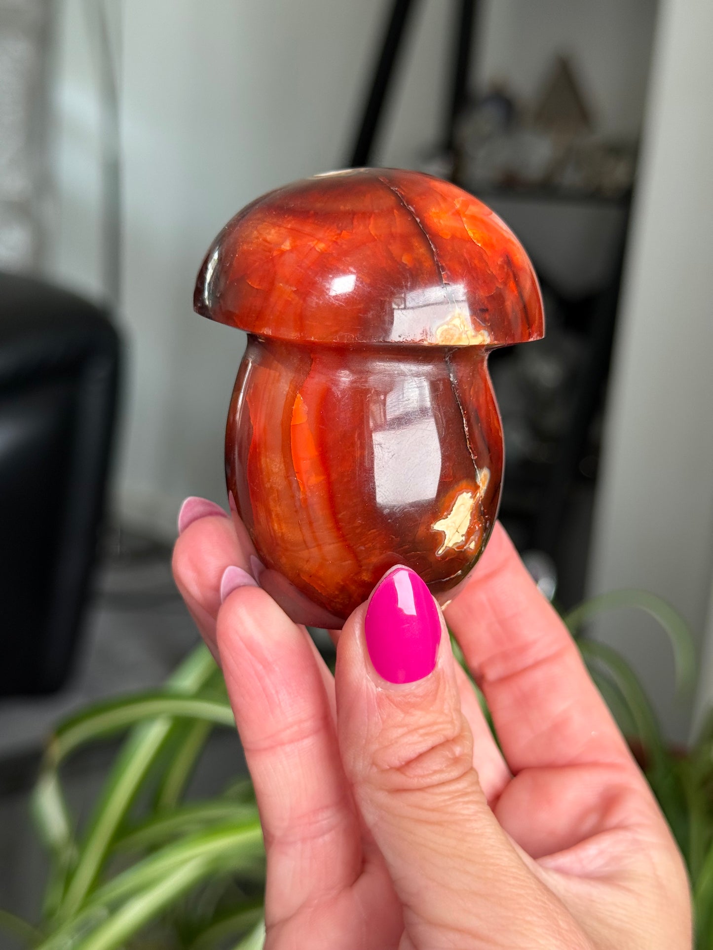 Carnelian Mushroom