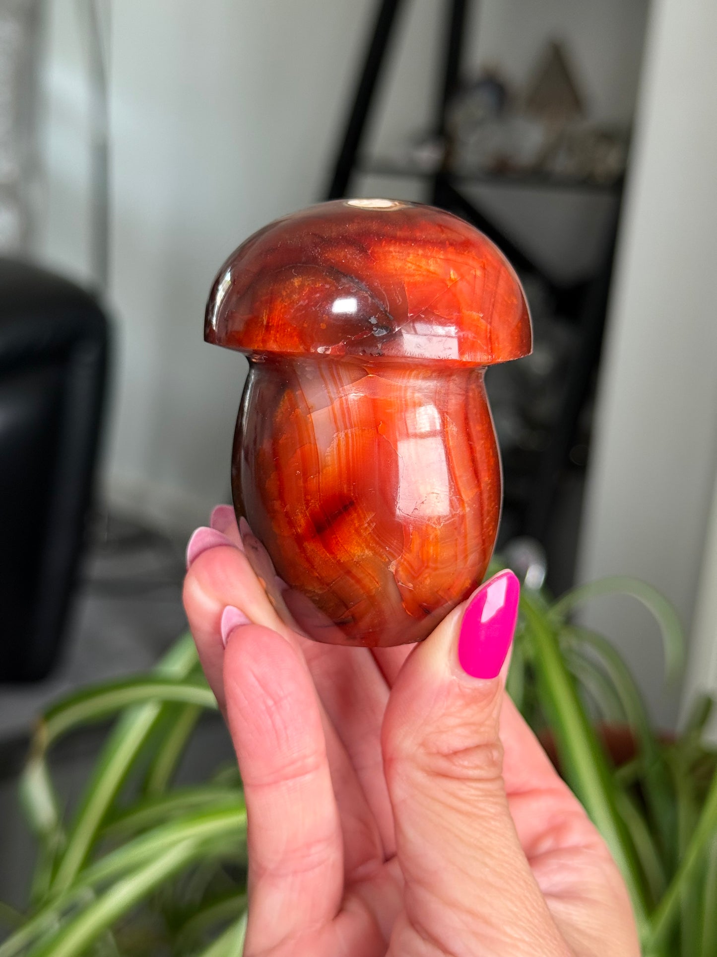 Carnelian Mushroom