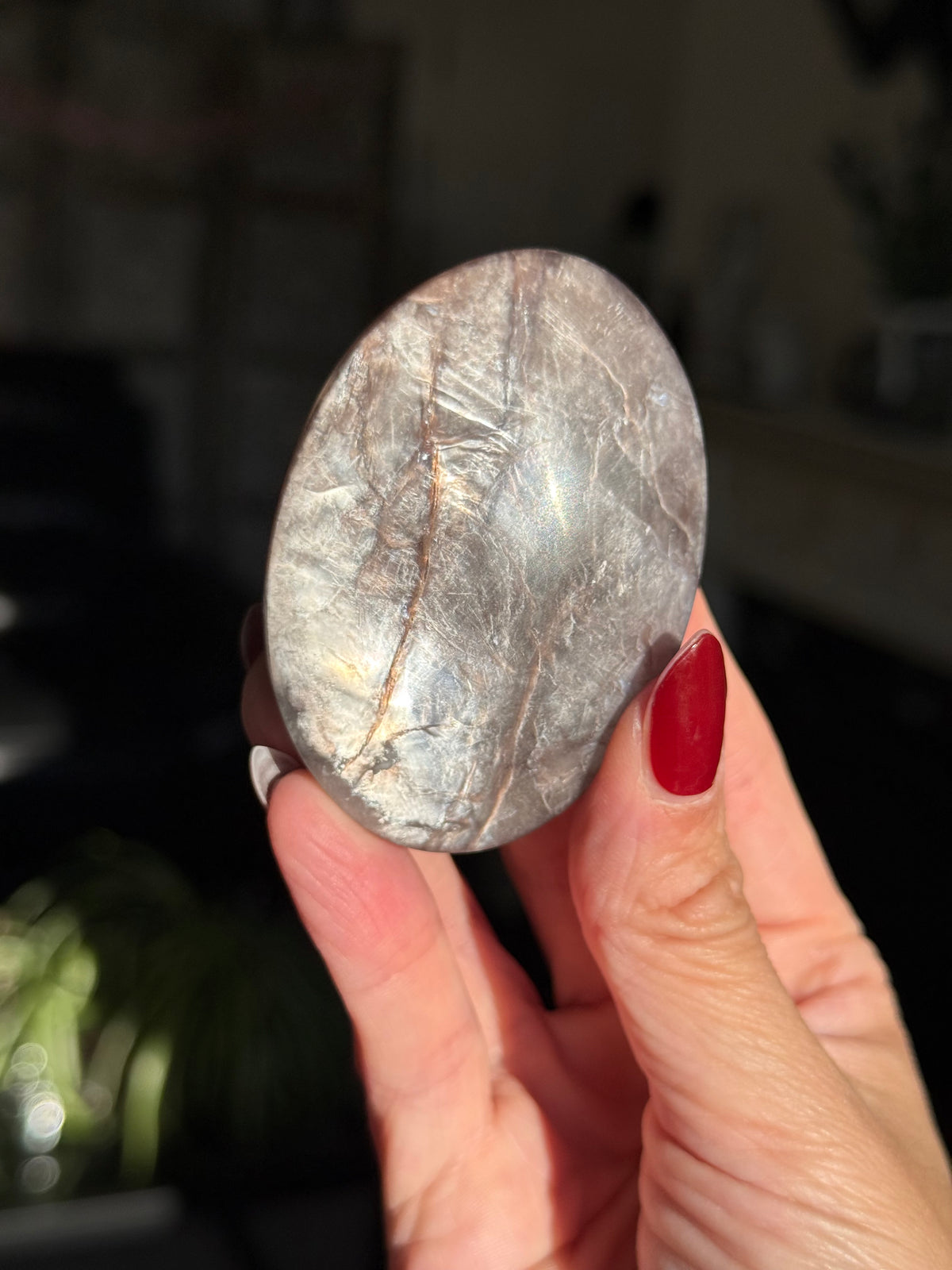 Gem Lepidolite Palm