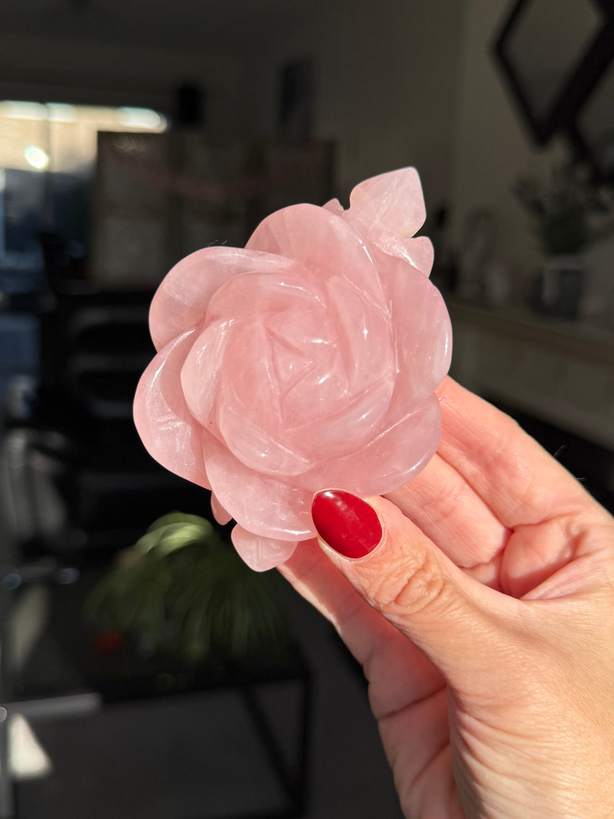 Rose Quartz Rose