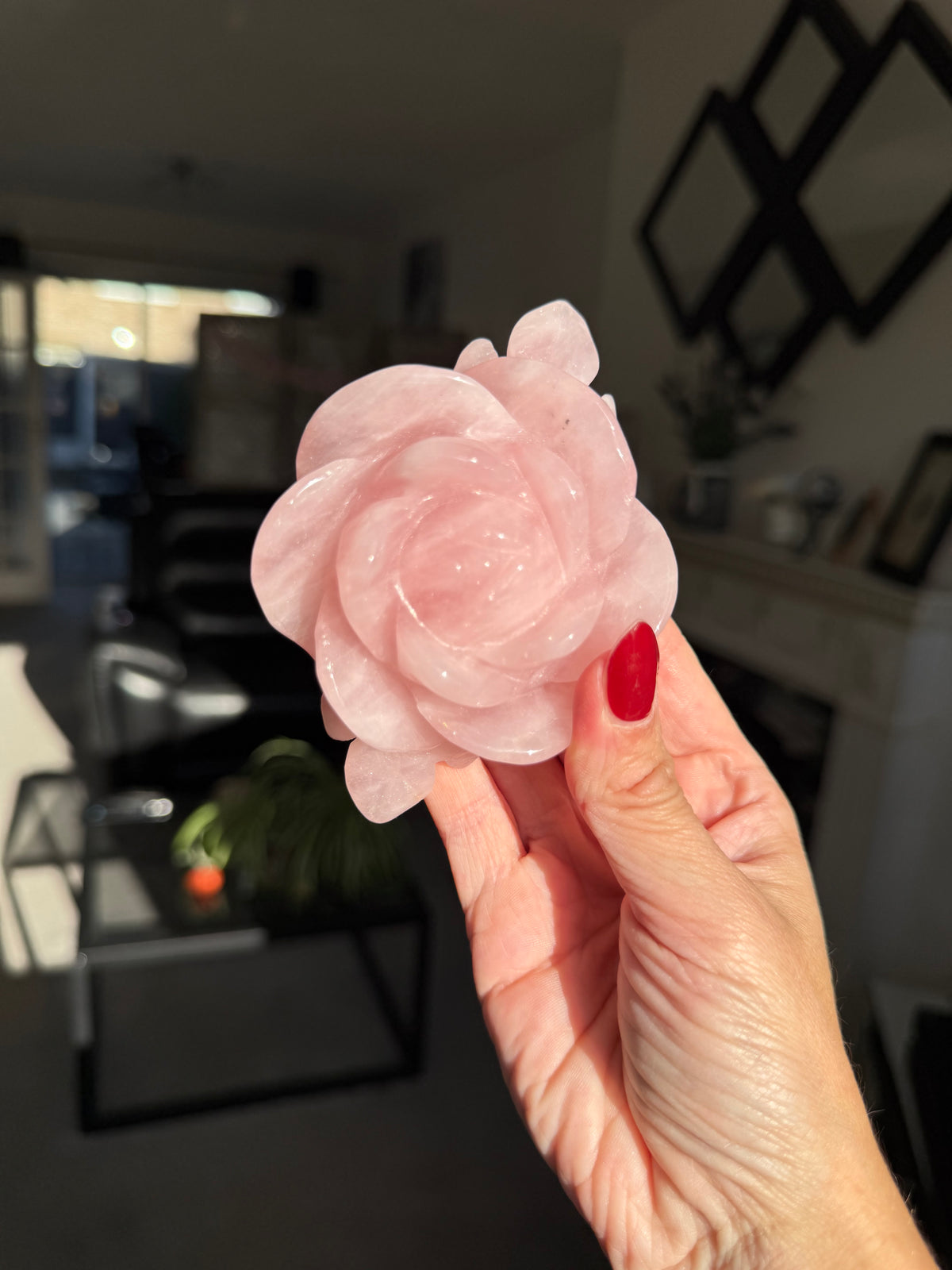 Rose Quartz Rose