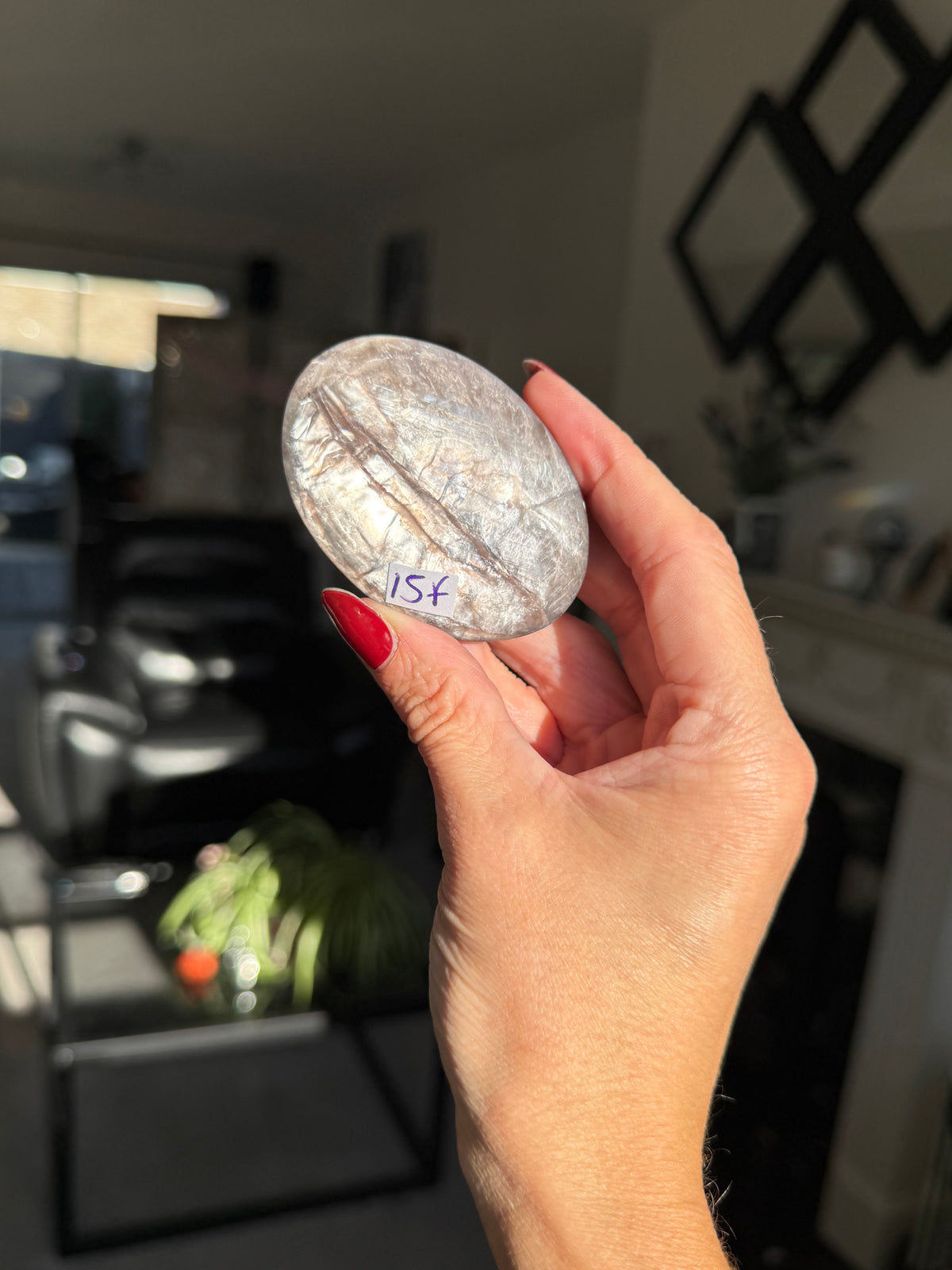 Gem Lepidolite Palm