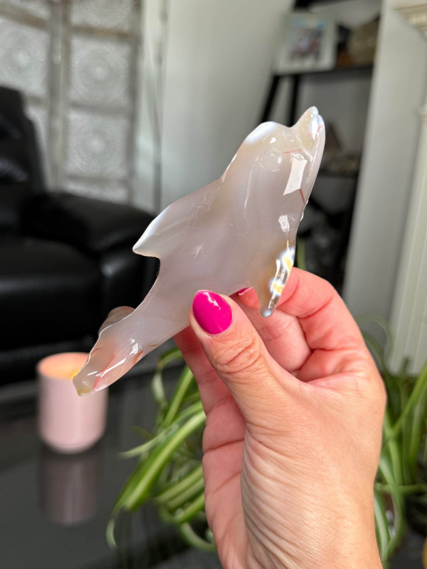 Agate Dolphin