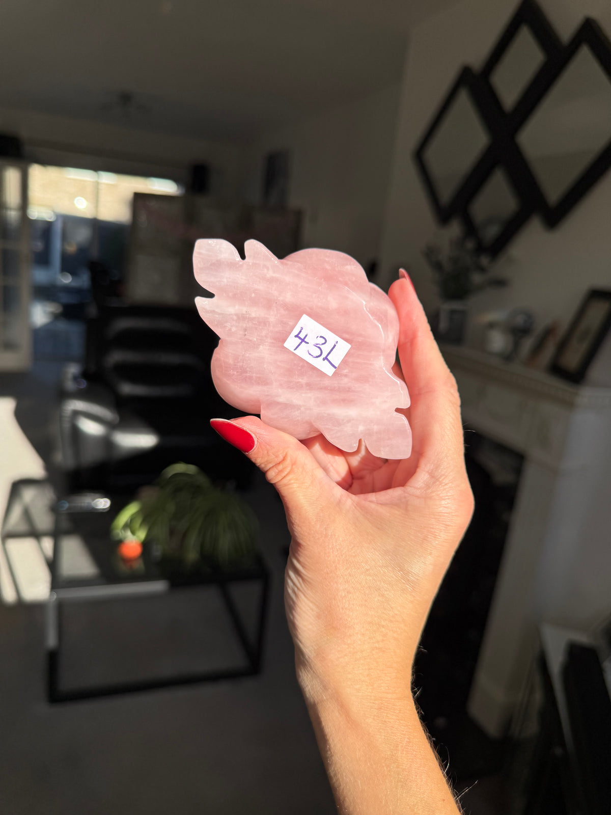 Rose Quartz Rose