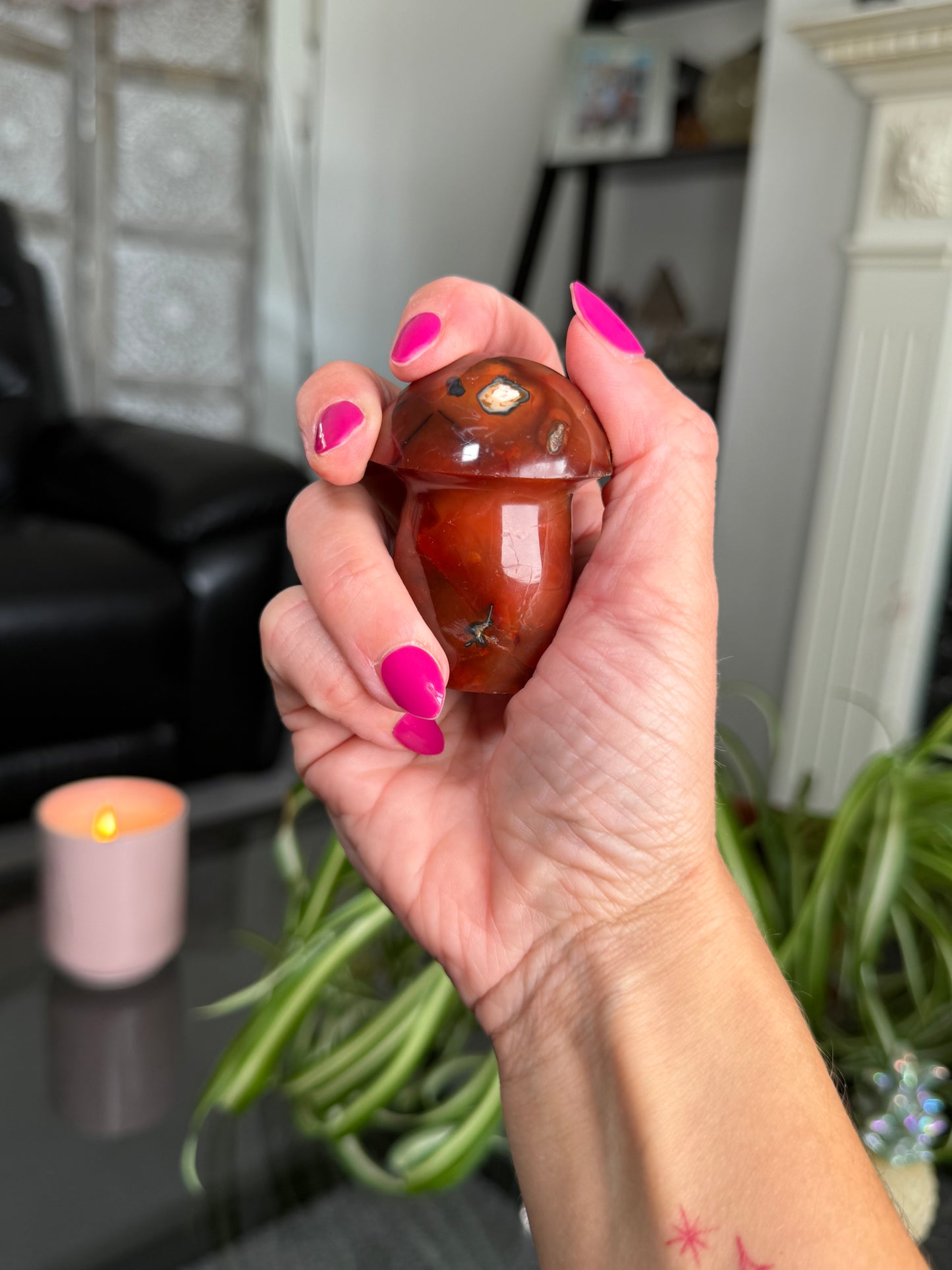 Carnelian Mushroom