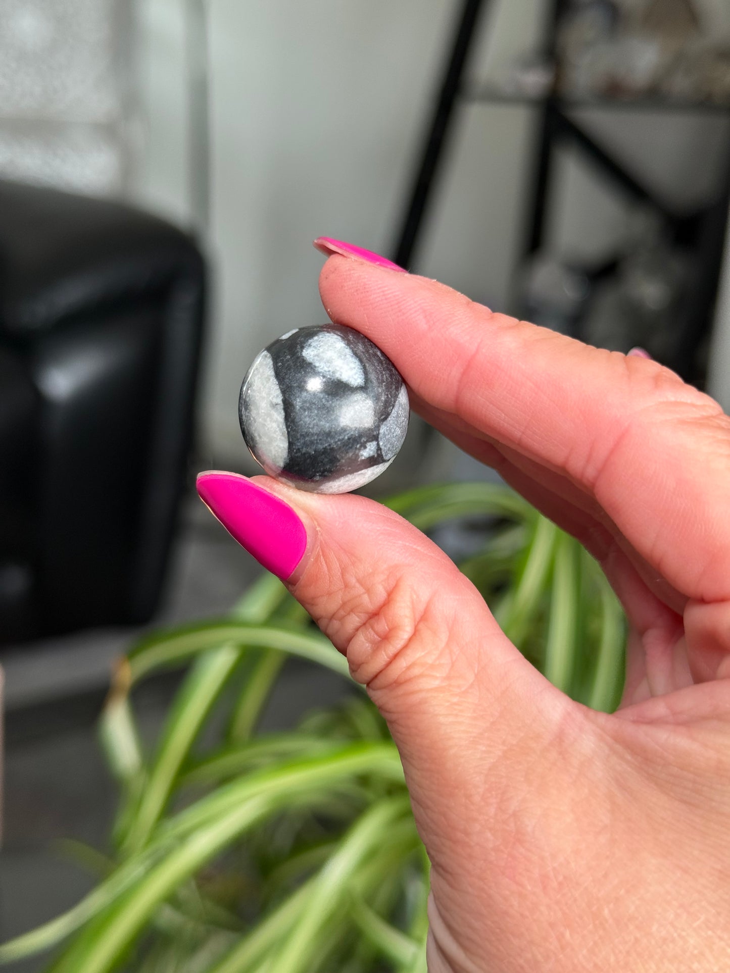 Mini Penguin Jasper Spheres