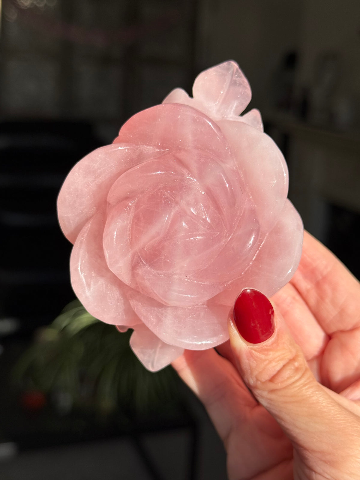 Rose Quartz Rose