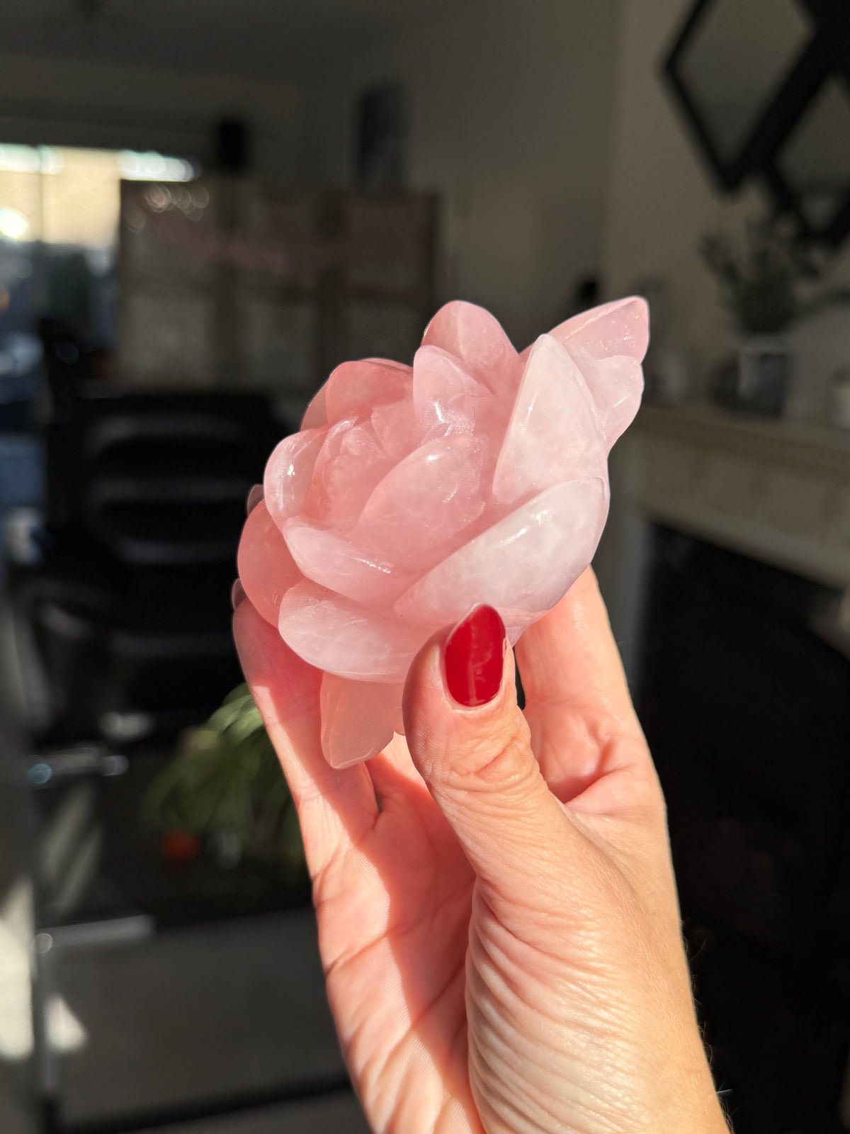 Rose Quartz Rose