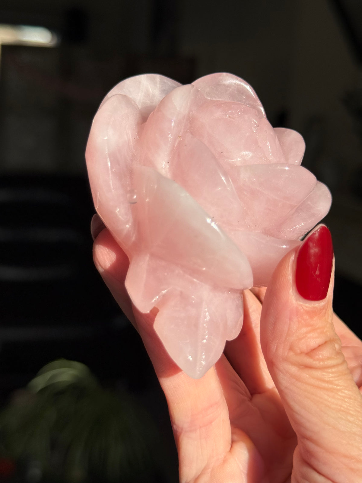 Rose Quartz Rose With Raindrop