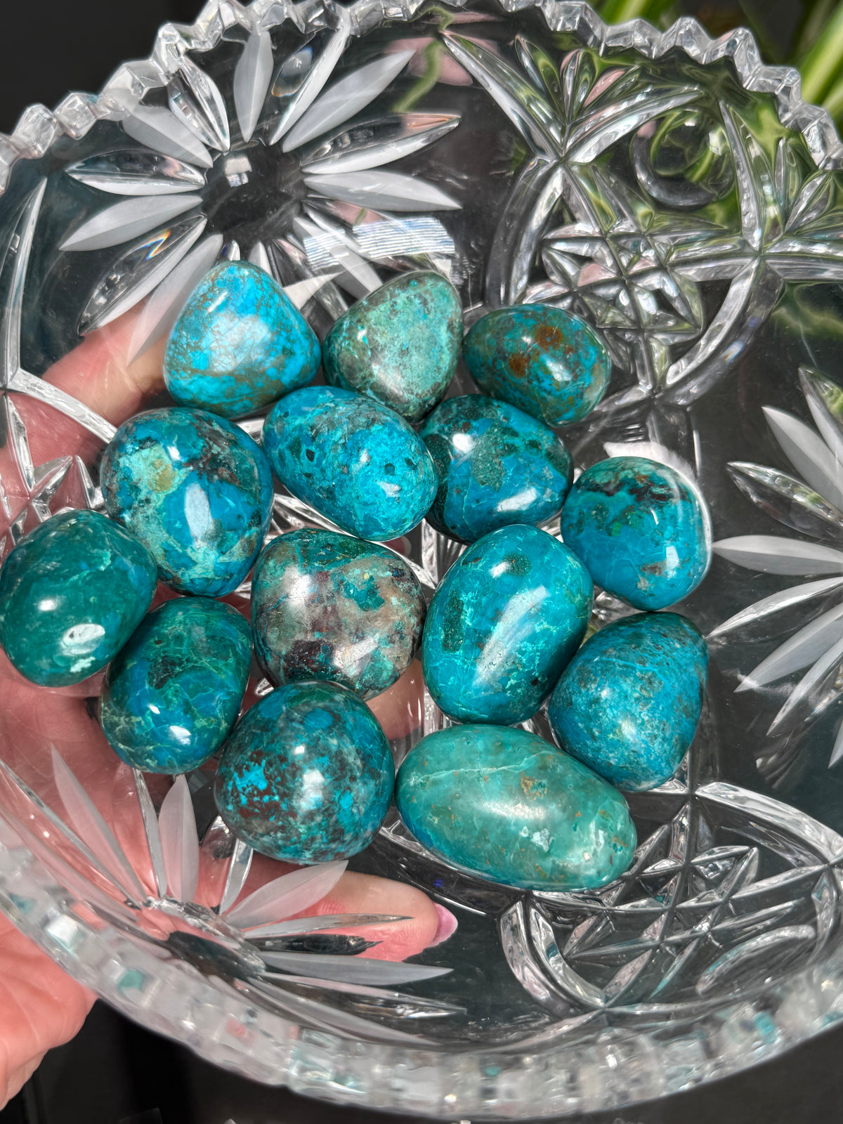 Chrysocolla Tumbles
