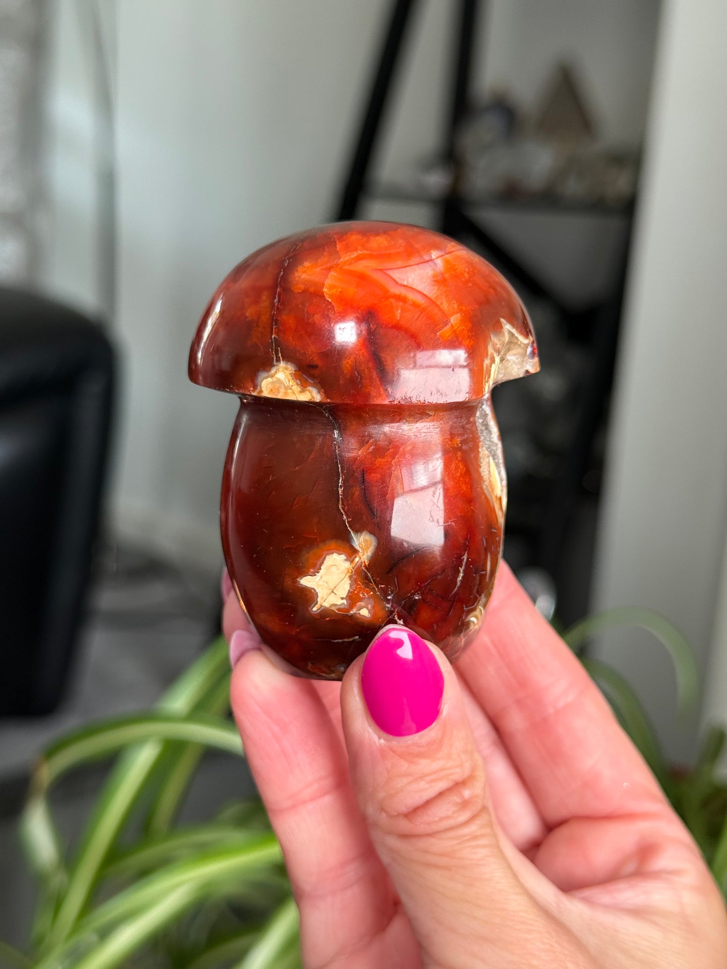 Carnelian Mushroom