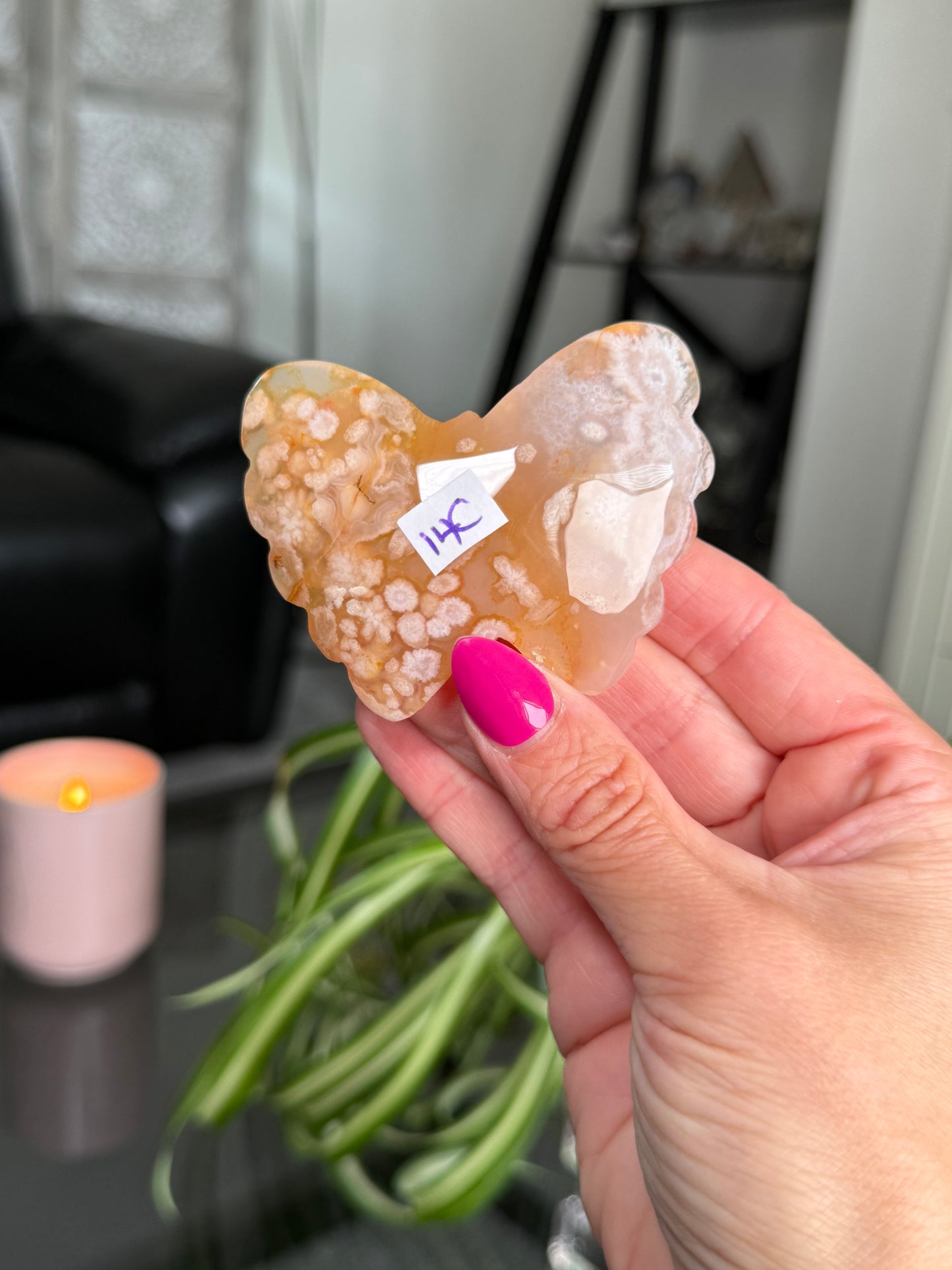 Flower Agate Butterfly
