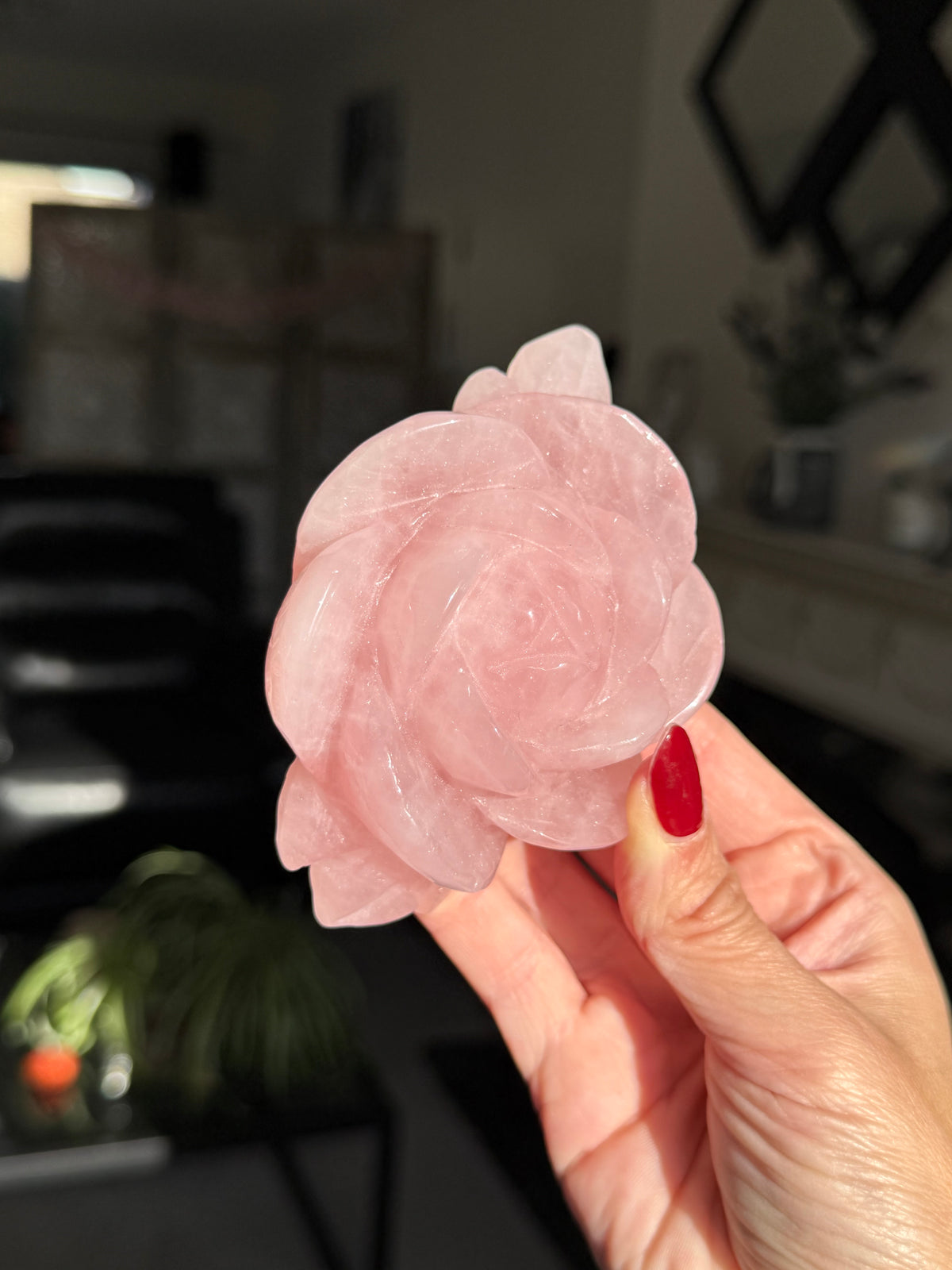 Rose Quartz Rose