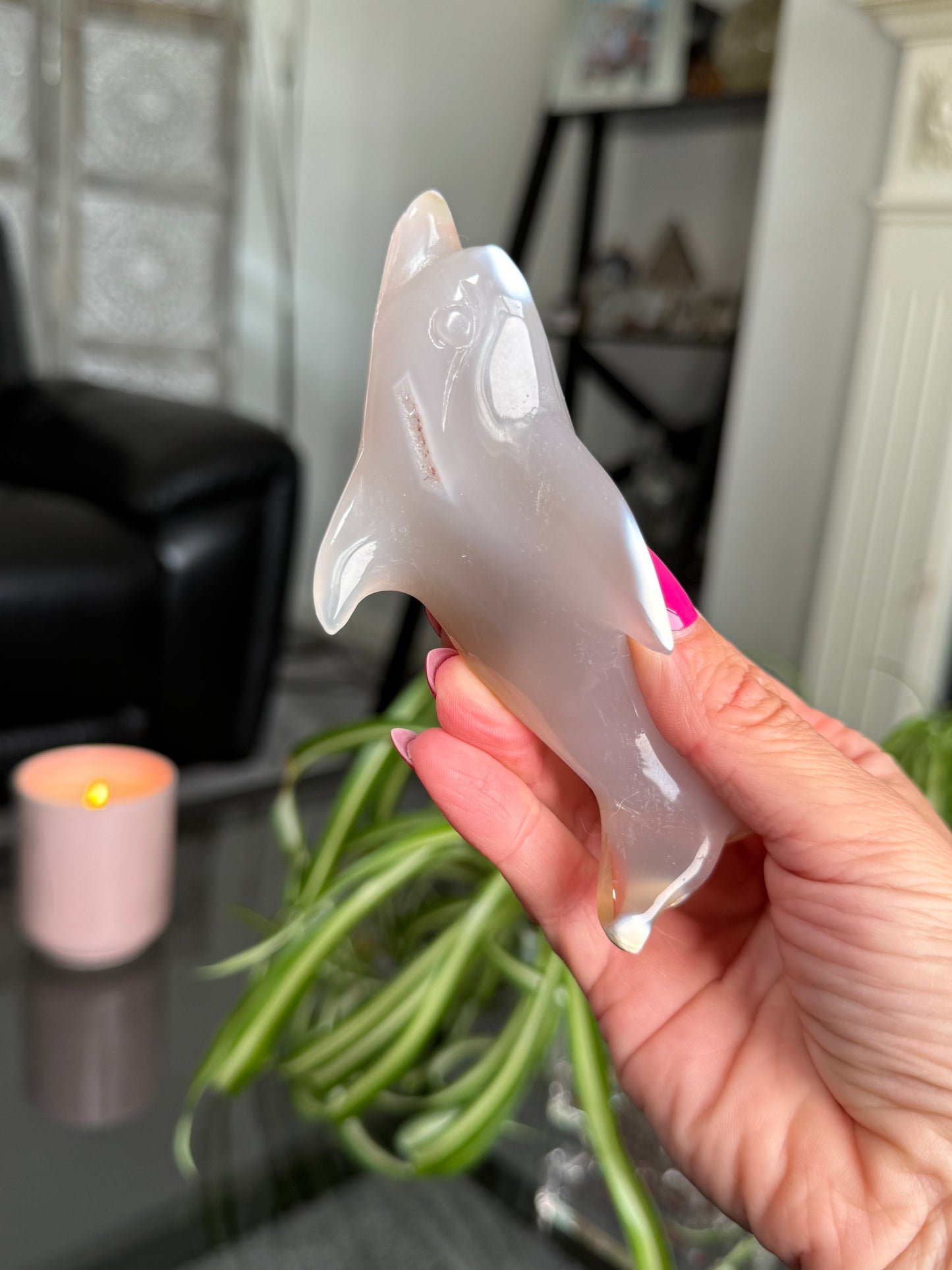 Agate Dolphin