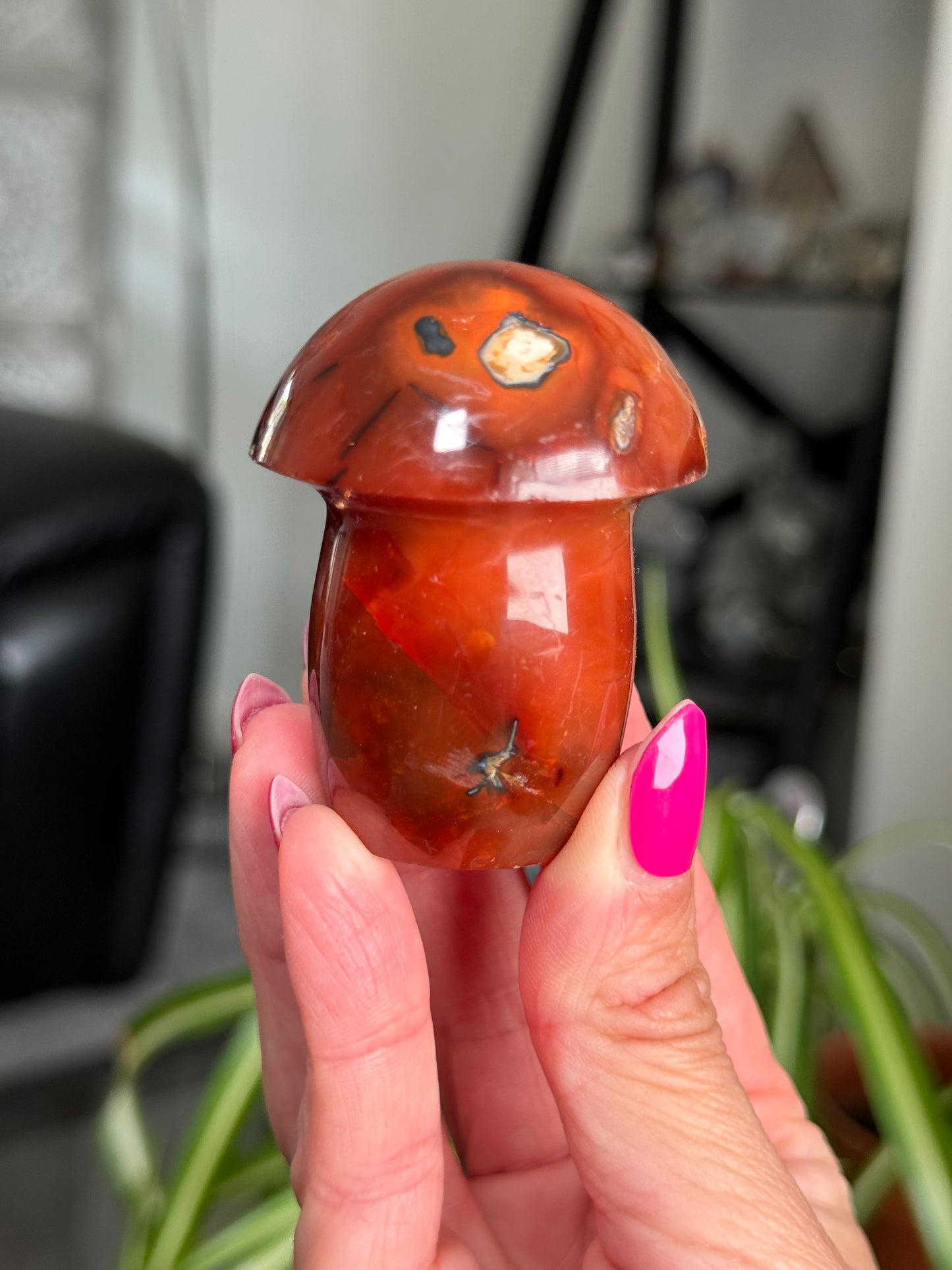 Carnelian Mushroom