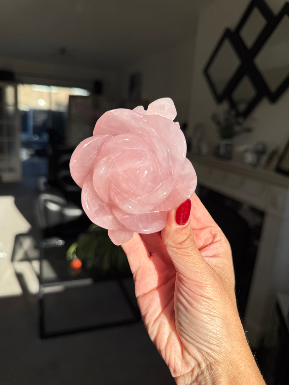 Rose Quartz Rose