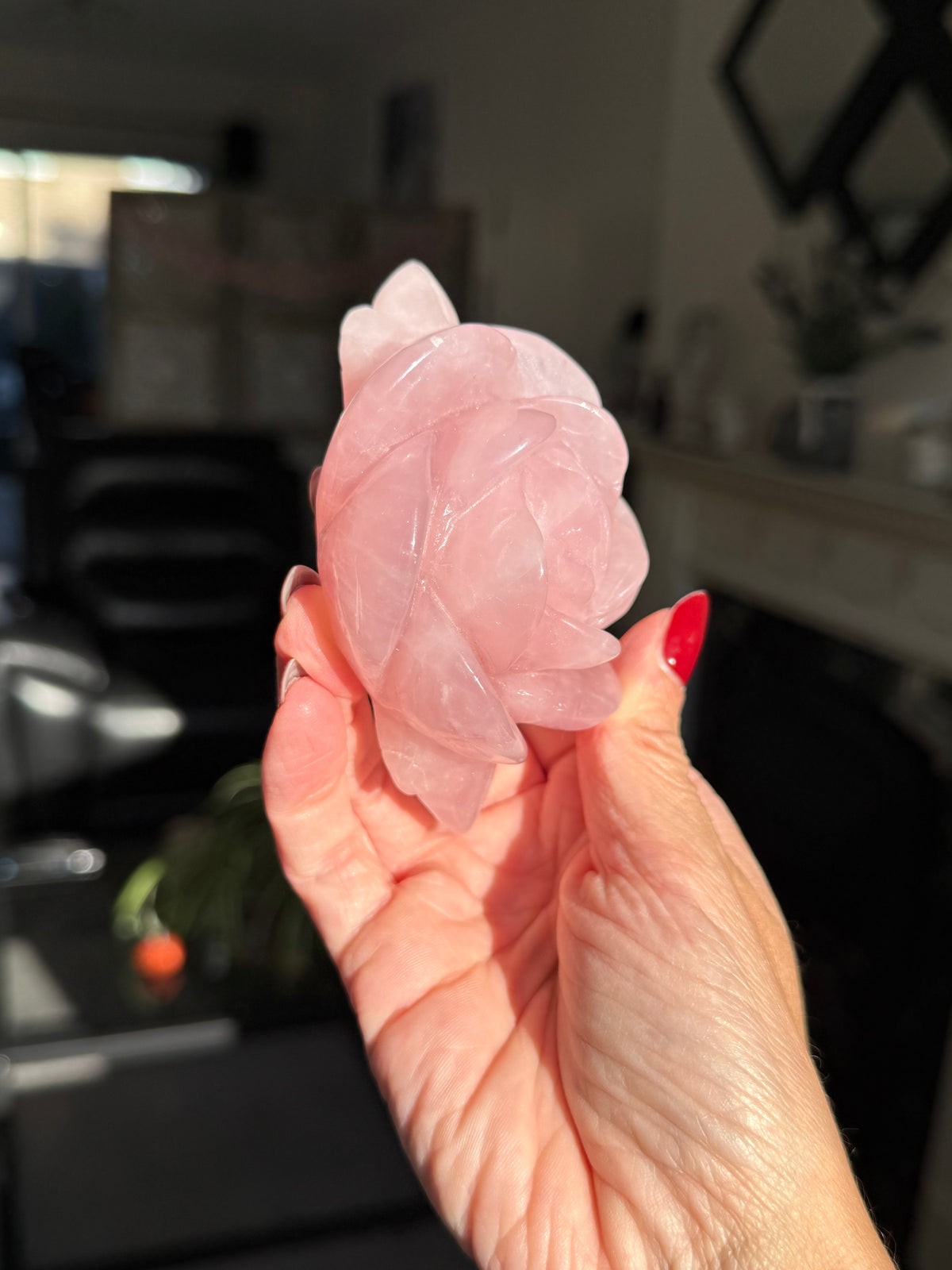 Rose Quartz Rose