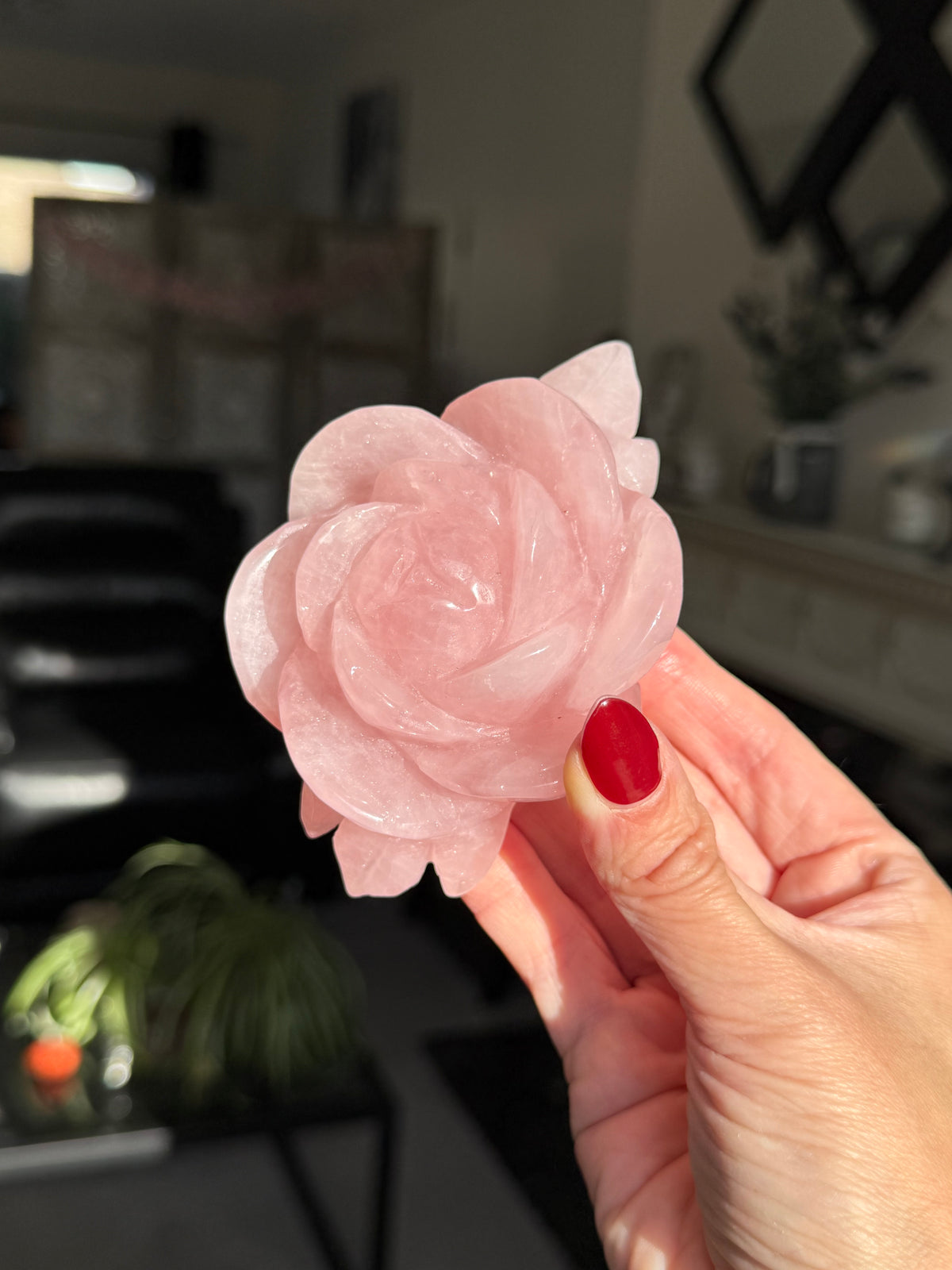 Rose Quartz Rose