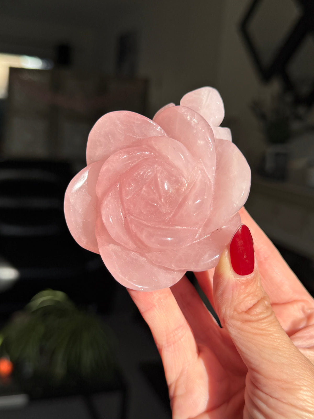 Rose Quartz Rose