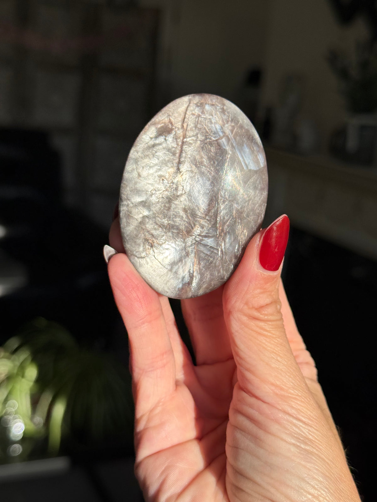 Gem Lepidolite Palm